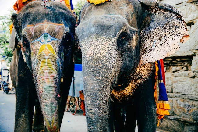 jaipur-158.jpg
