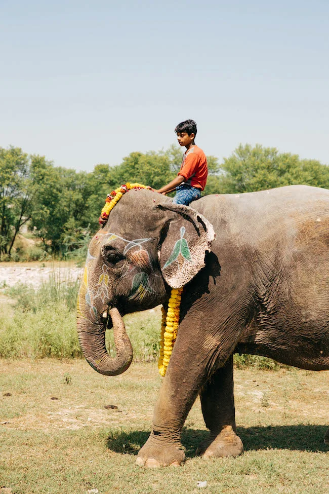 jaipur-153.jpg