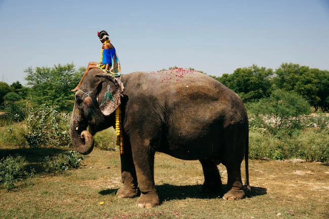 SJ_lookbook_taratheeephant_17.jpg