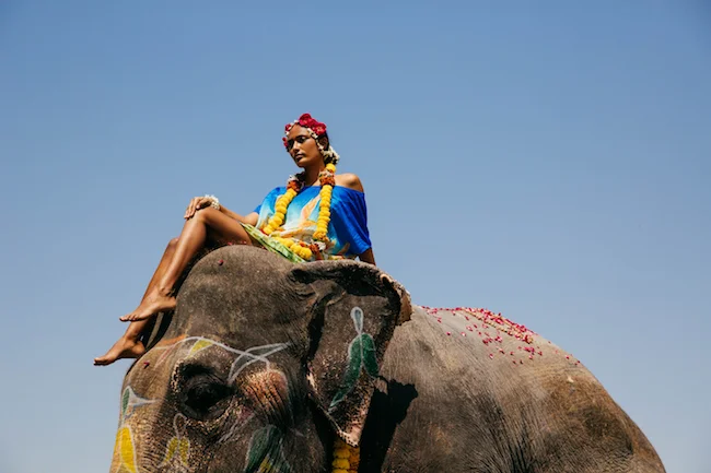 SJ_lookbook_taratheeephant_21.jpg