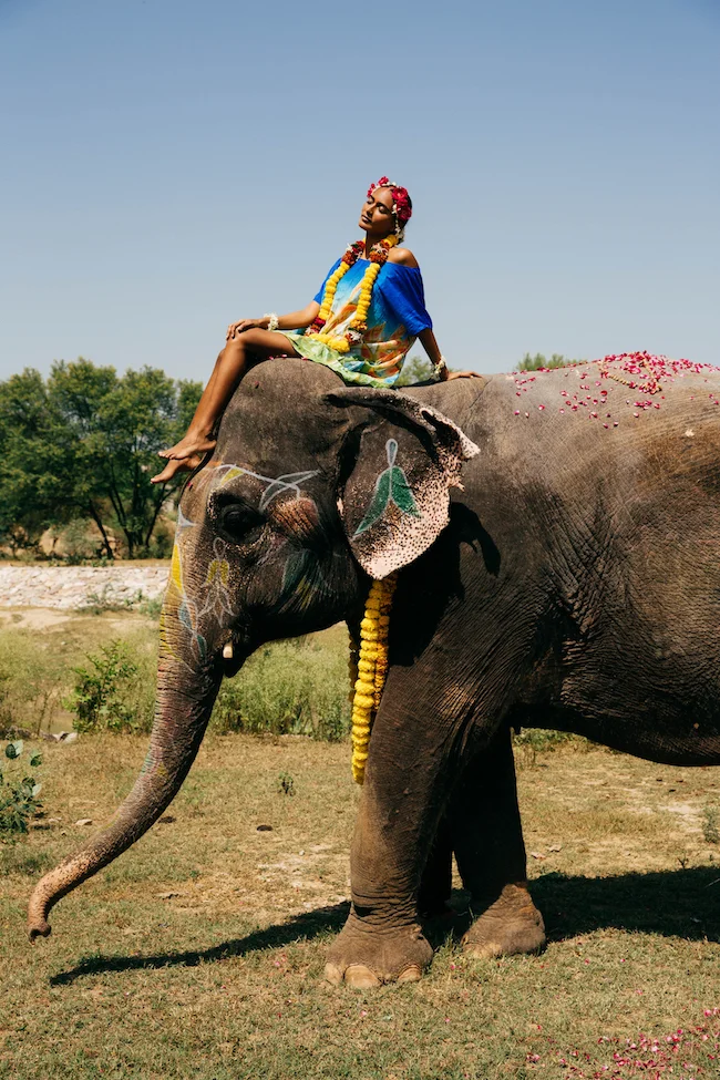 SJ_lookbook_taratheeephant_24.jpg