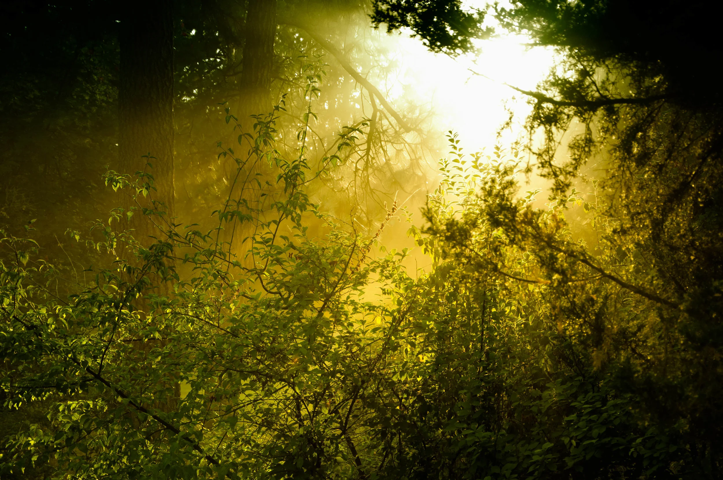 DSC_0092-Edit.jpg