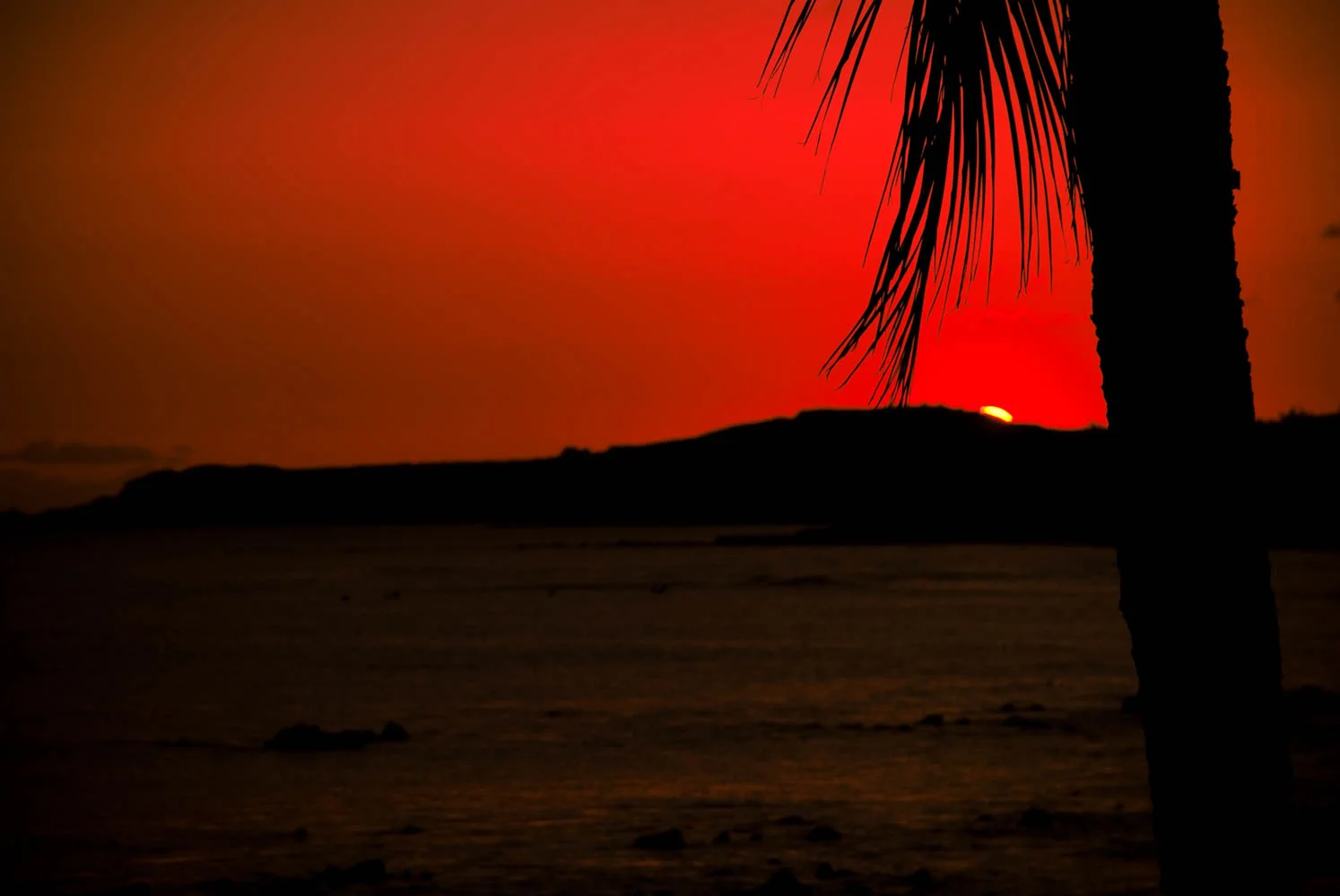 2009_HAWAII_-477.jpg