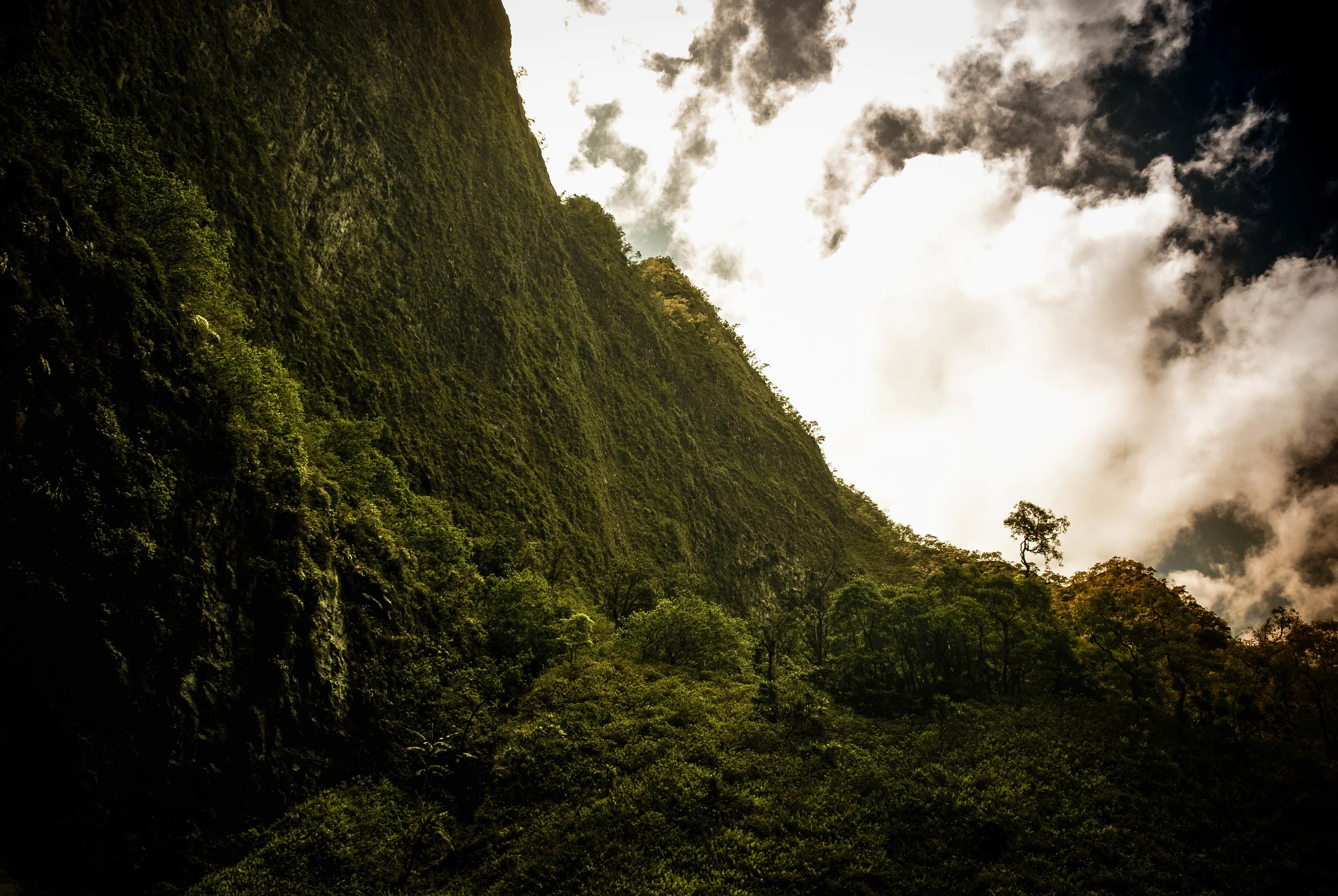 2009_HAWAII_-618.jpg
