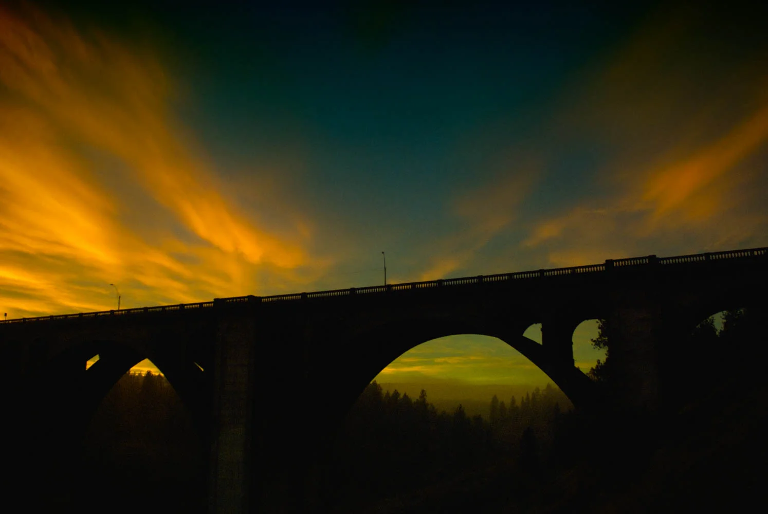 DSC_3587-Edit.jpg