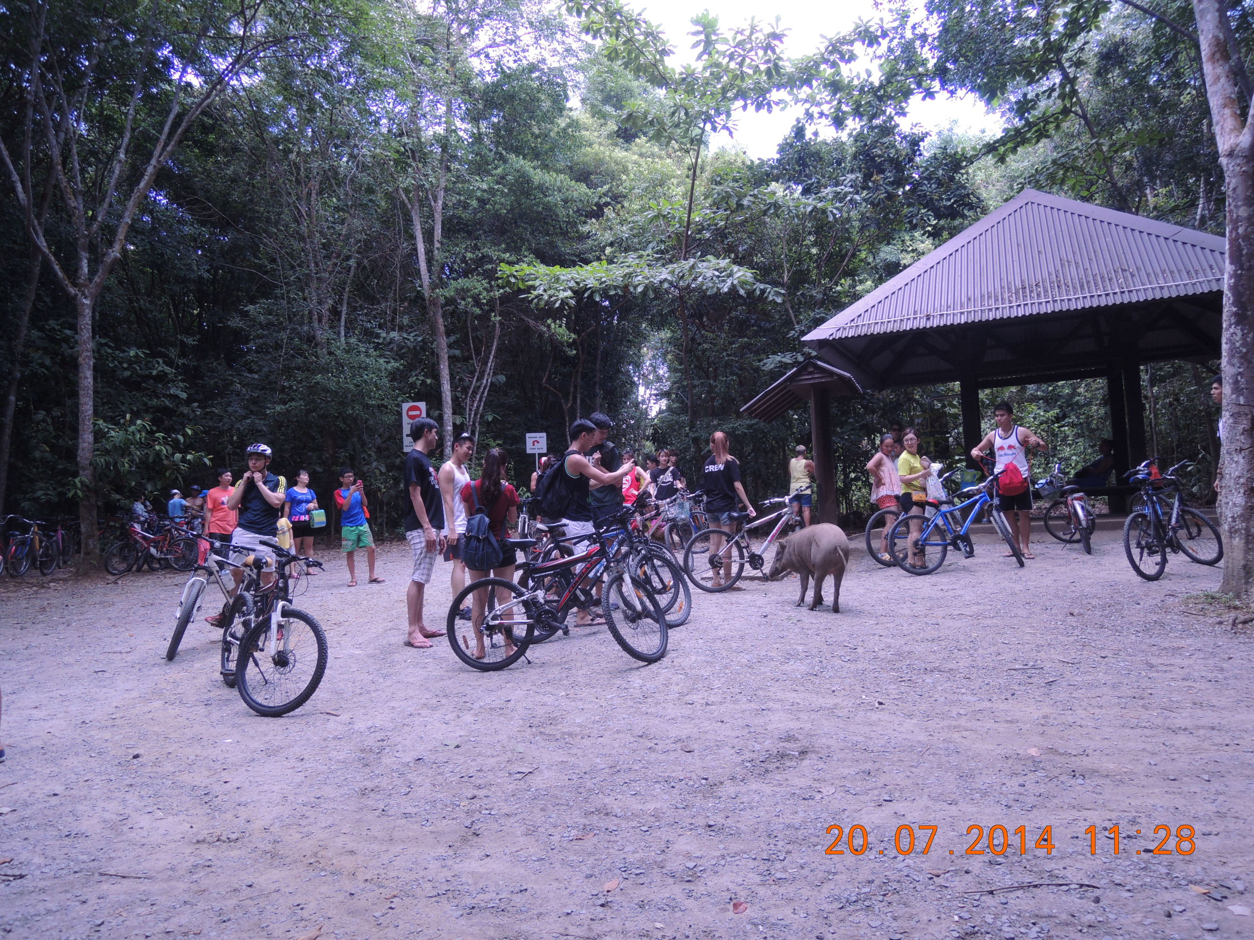 Park the bikes here and walk into the nature reserve.