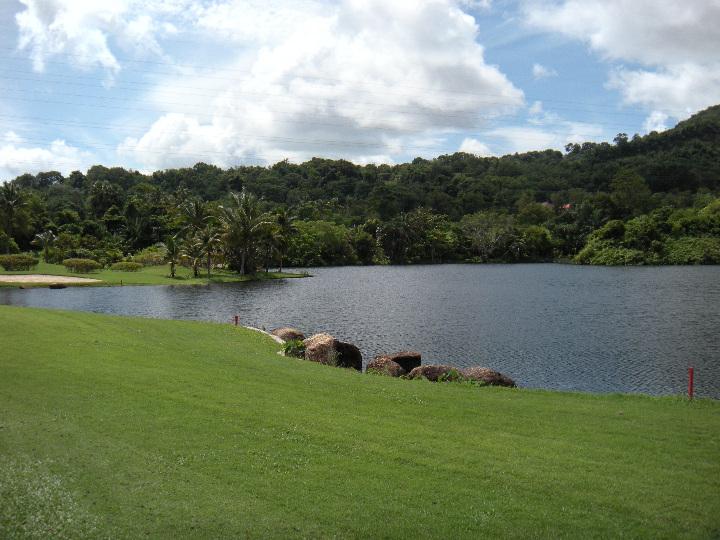 I lost track of how many balls went into the water on this hole that circled around the lake. 