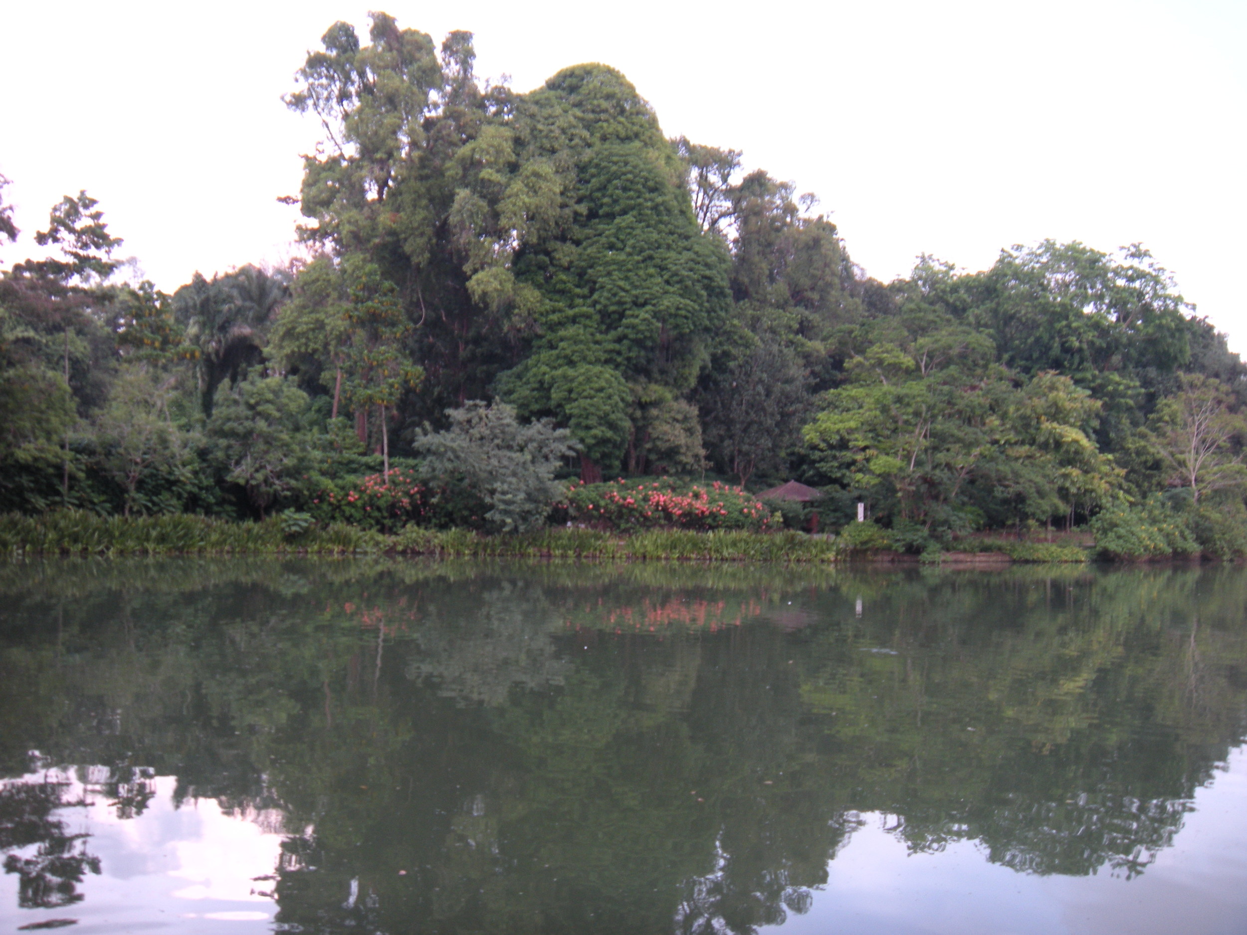 A view of the lake