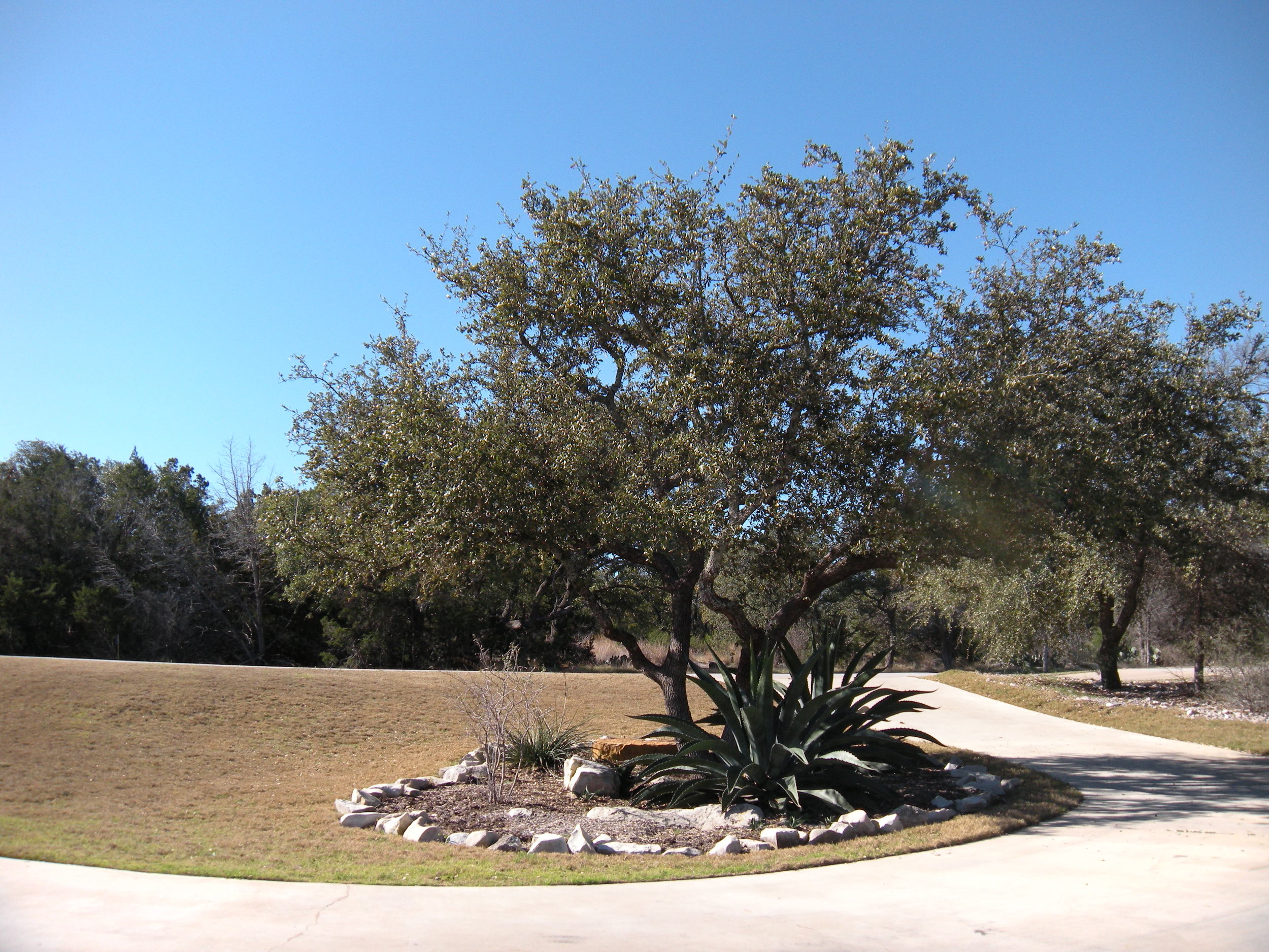 View from our front porch. 