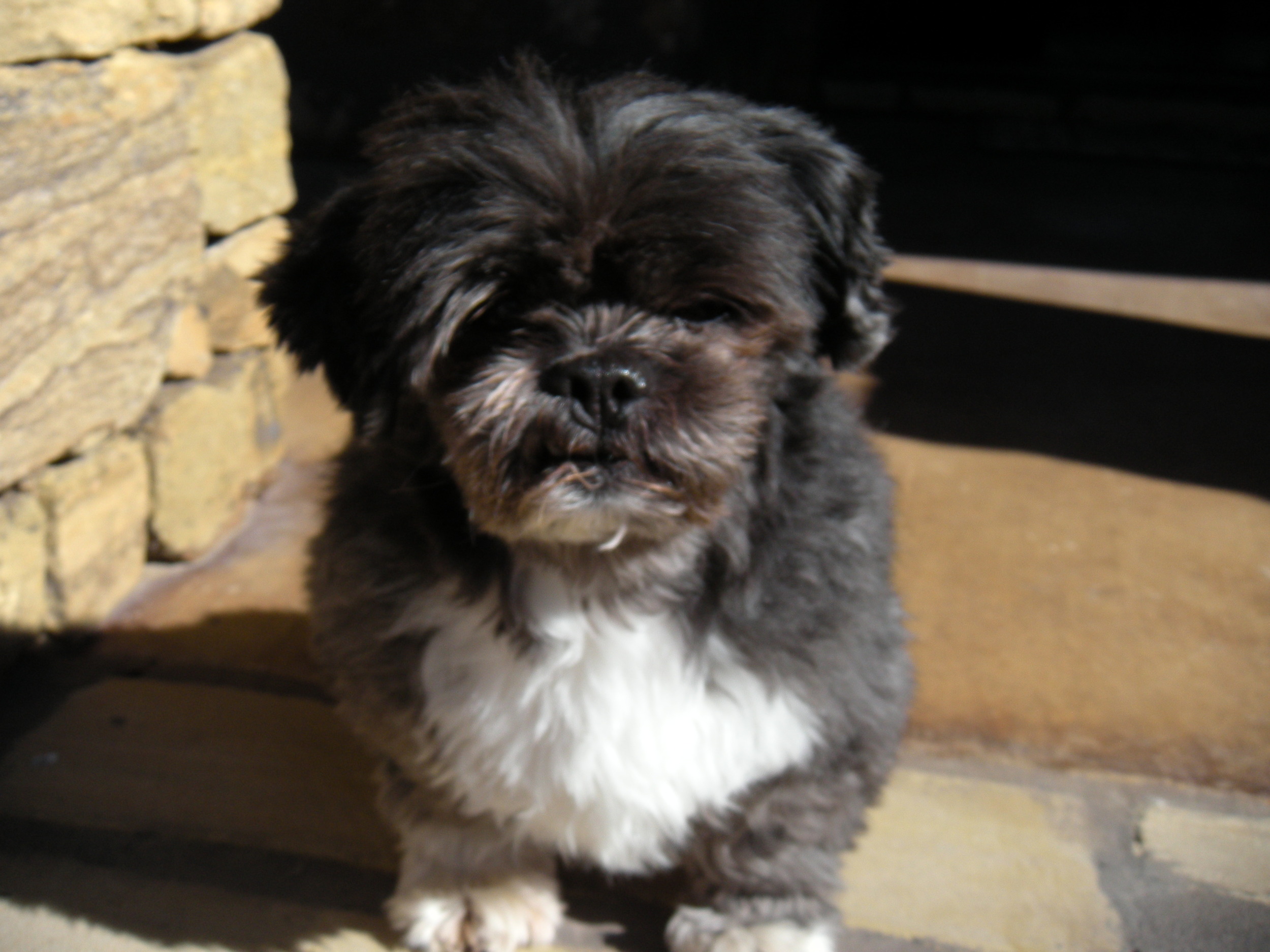 Trip wanted to have his picture taken on the front porch. 