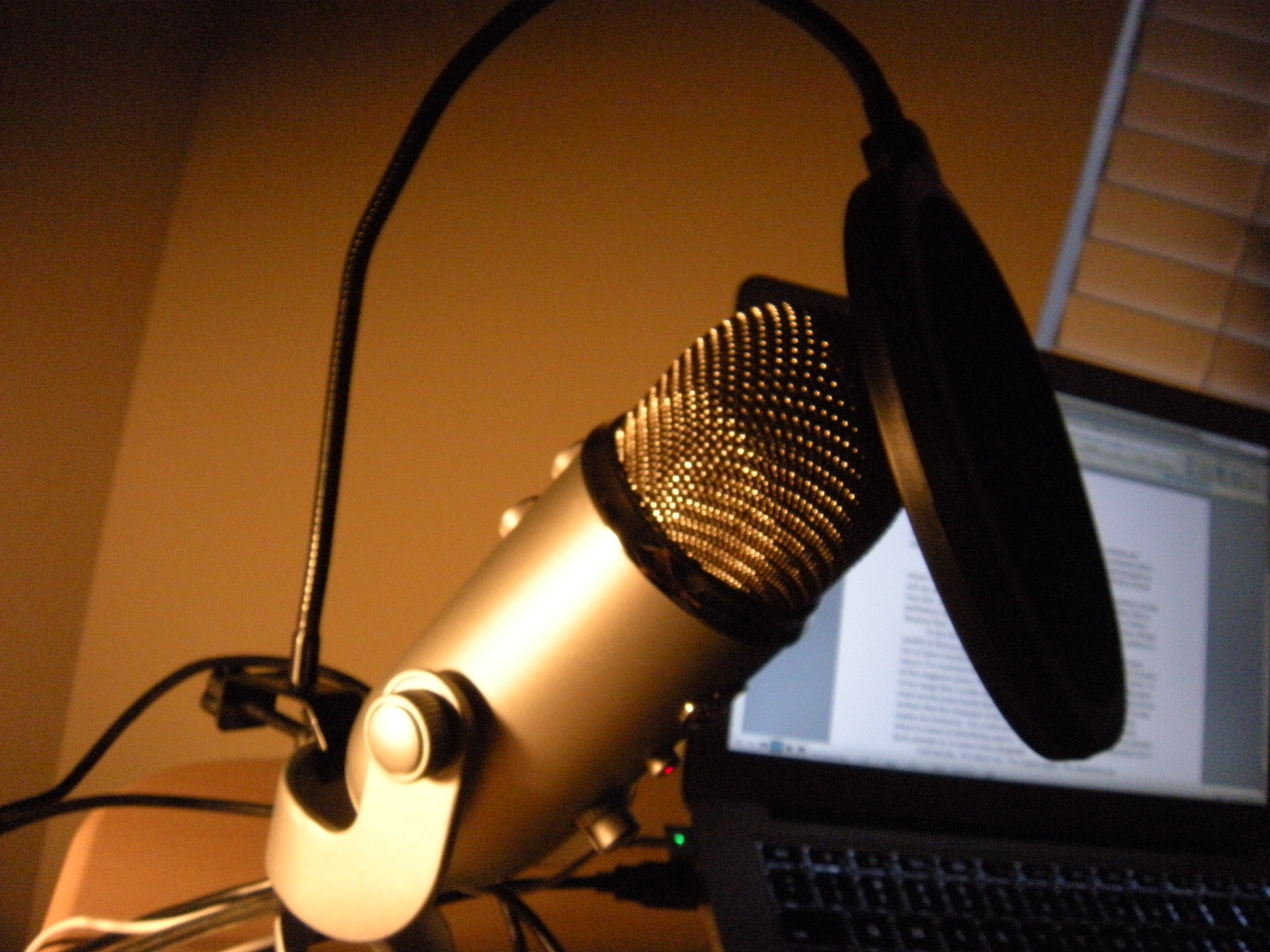 An impressive microphone, indeed. The screen is called a popper. It's to keep my P's from popping. Popping P's are the least of my worries. 