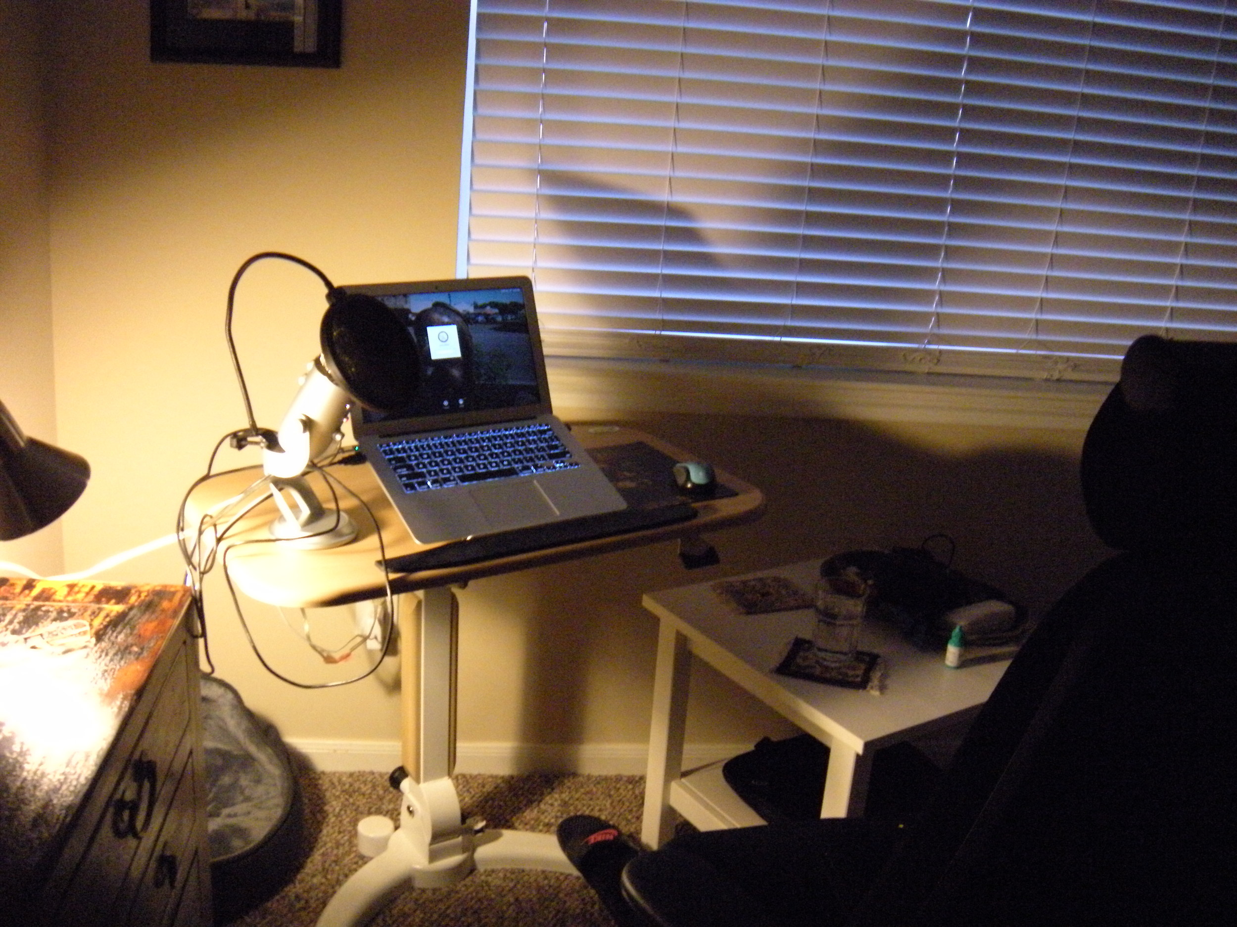 Here's my writing and recording area. You can see Trip's bed in the corner. He likes to doze at my feet as I work. The eyedrops on the table are because I'm on the computer so much that my eyes get dry. 