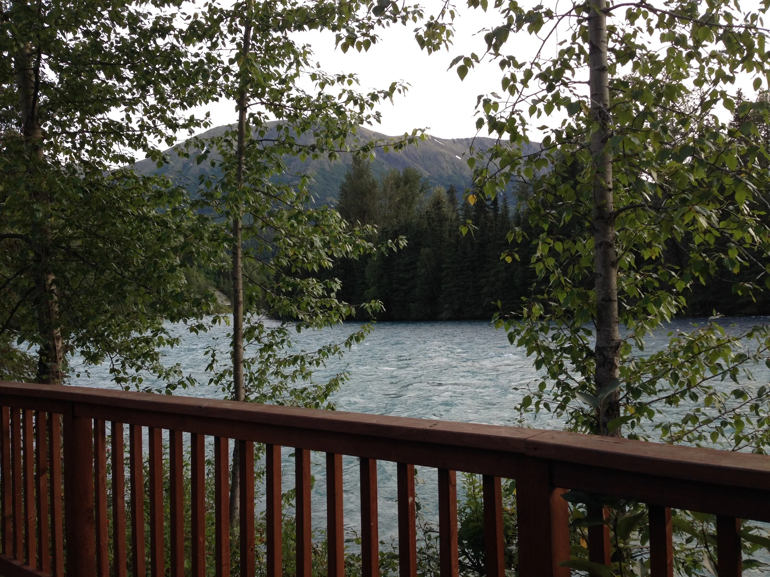 The Kenai River from the viewing deck.