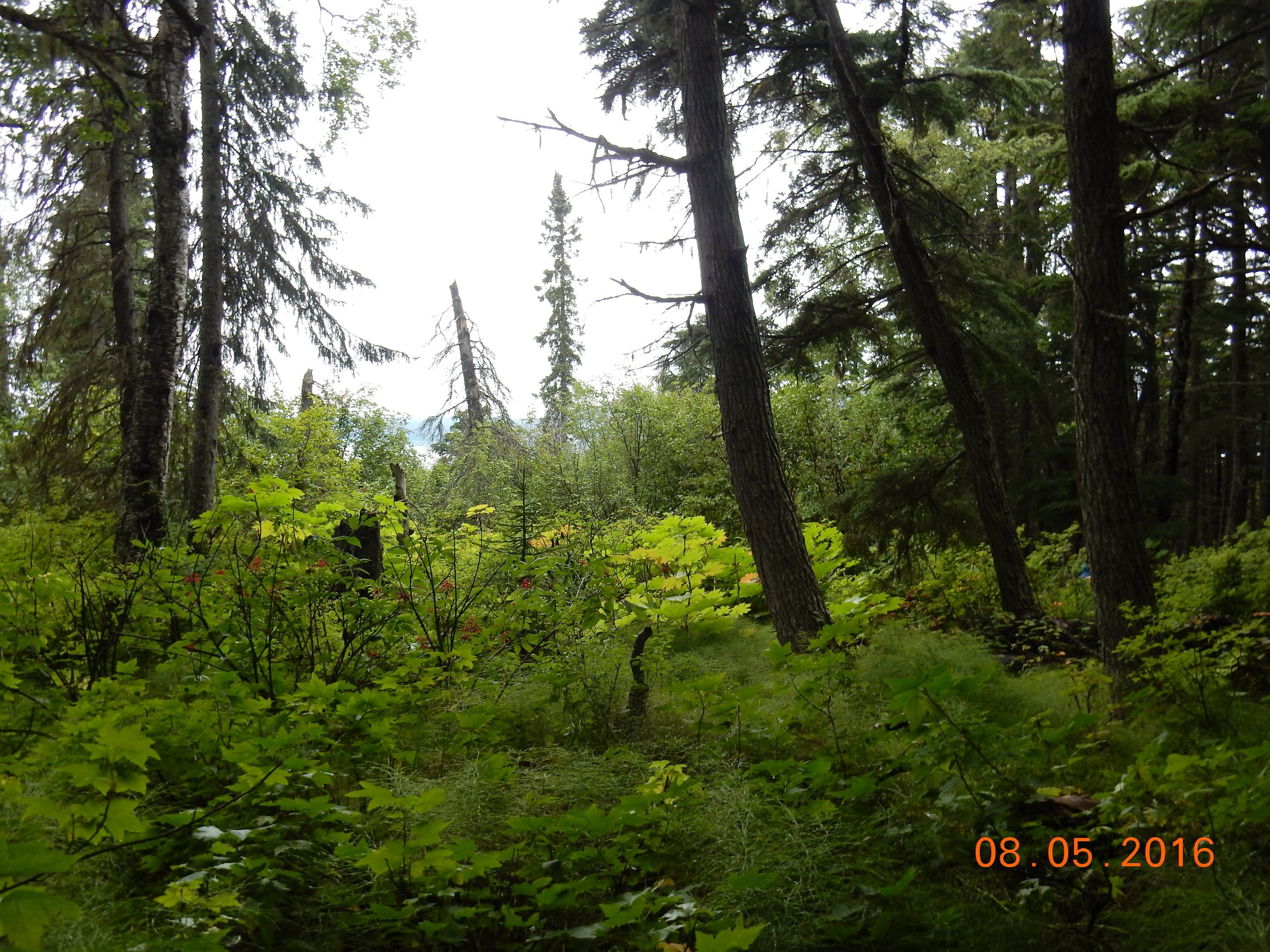 The next day we went for a six-mile, rough terrain hike. 