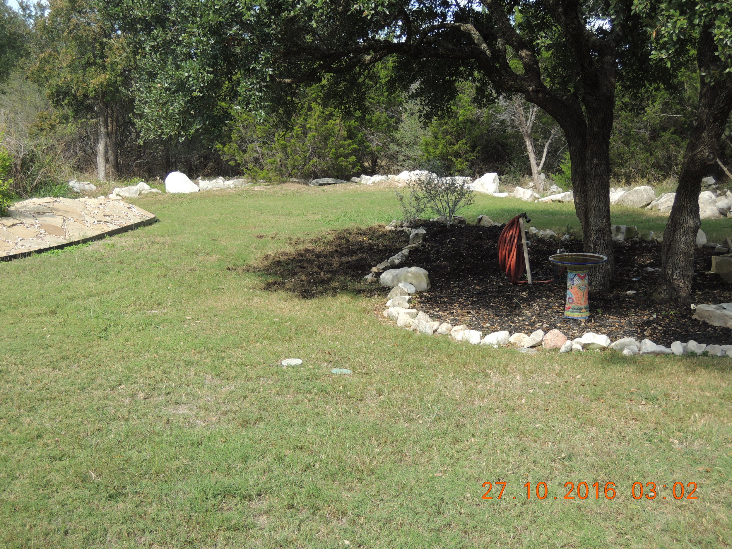 There it is. It freaks me out to think of a big ole hog rooting around in our backyard. 