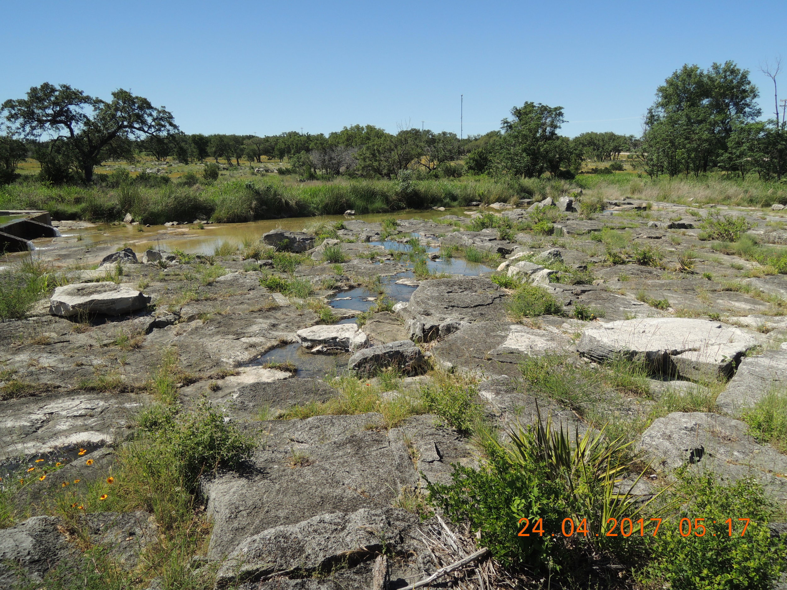 The neighbors have been going on about someone building an apartment complex on the other side of this little creek for years. Let's hope it doesn't happen