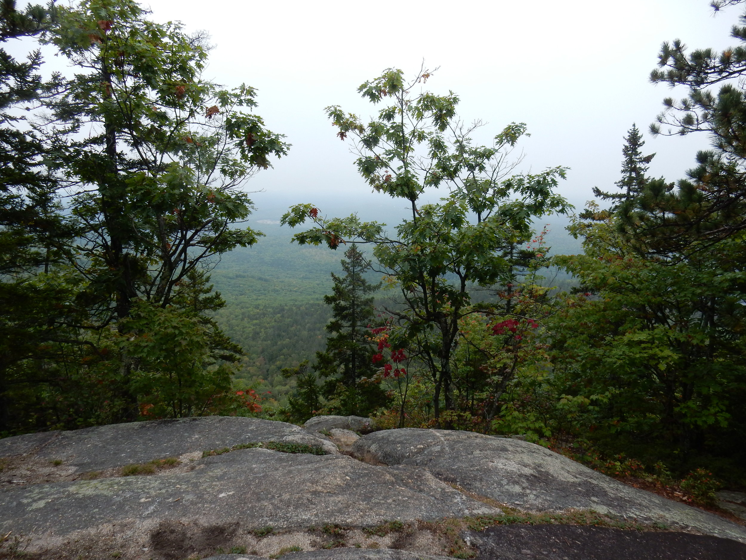 The view from the top of the White Ledge Loop, a hellish climb.
