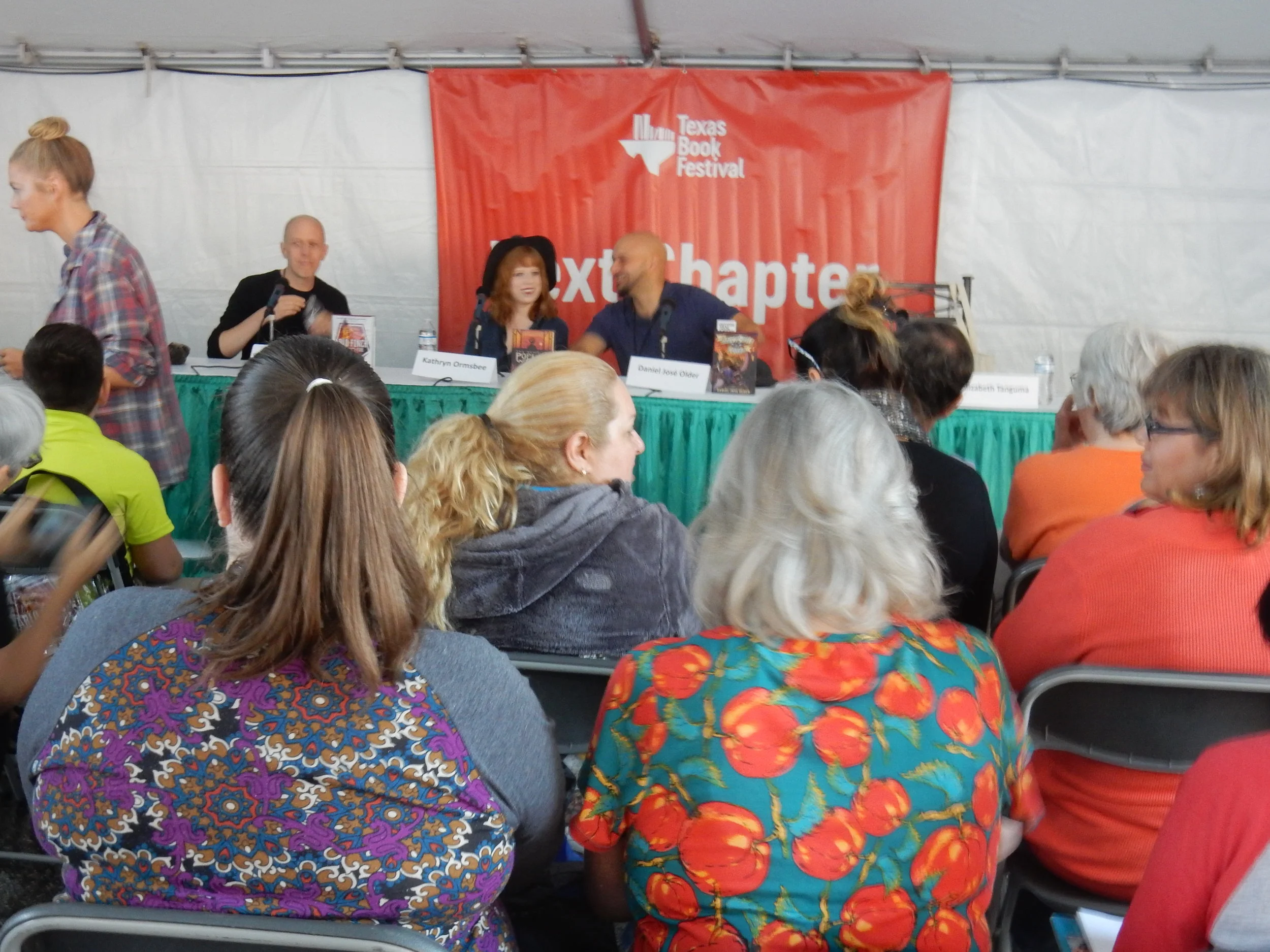 This is what a panel looks like. I so belong up there!