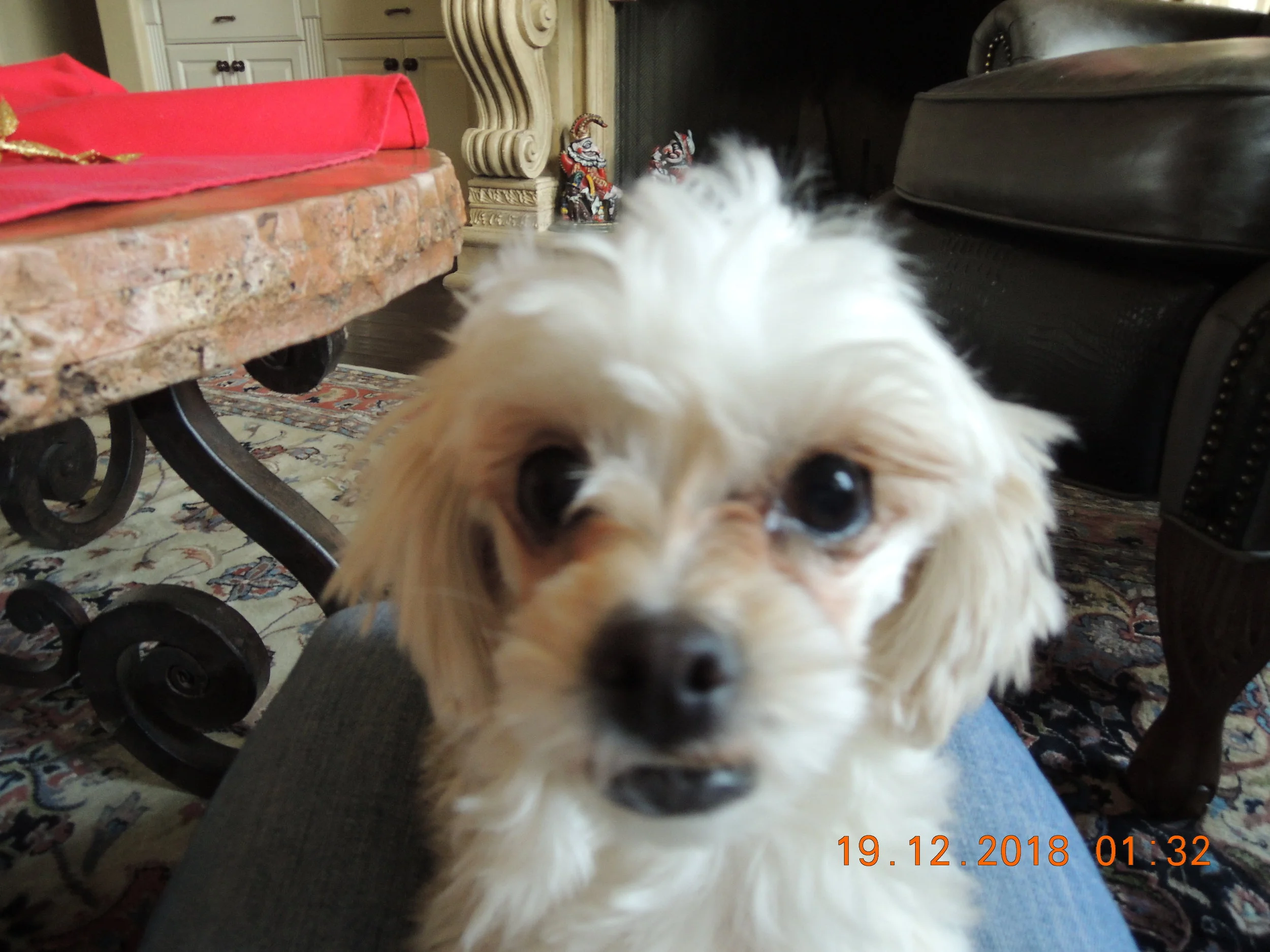Doesn’t she have the sweetest face?