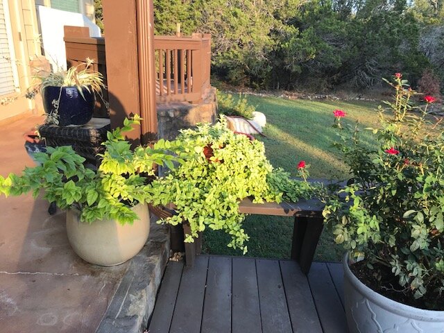 Just another view of our back deck. David has a green thumb.
