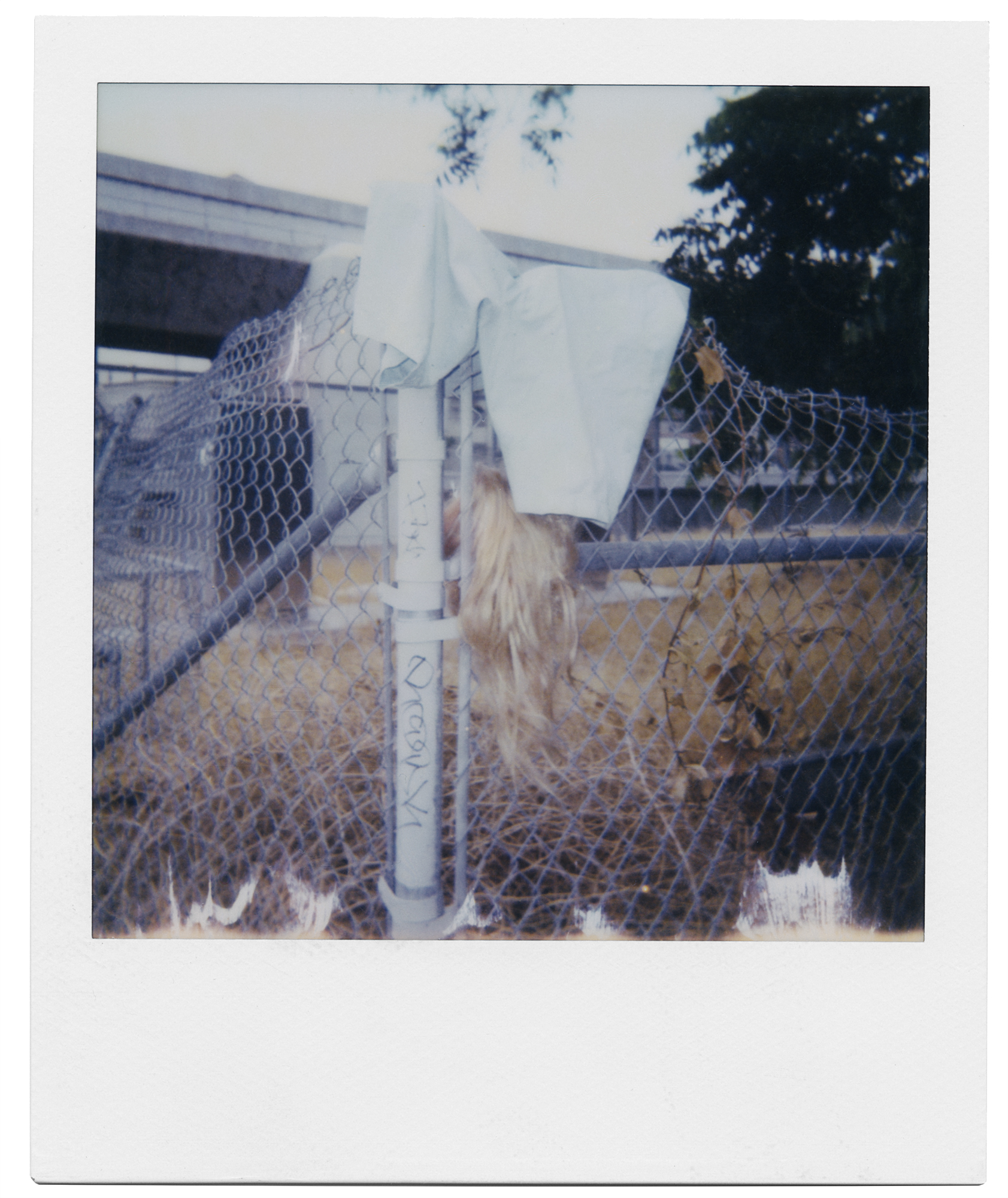2017_LA_Weave_Polaroid.jpg