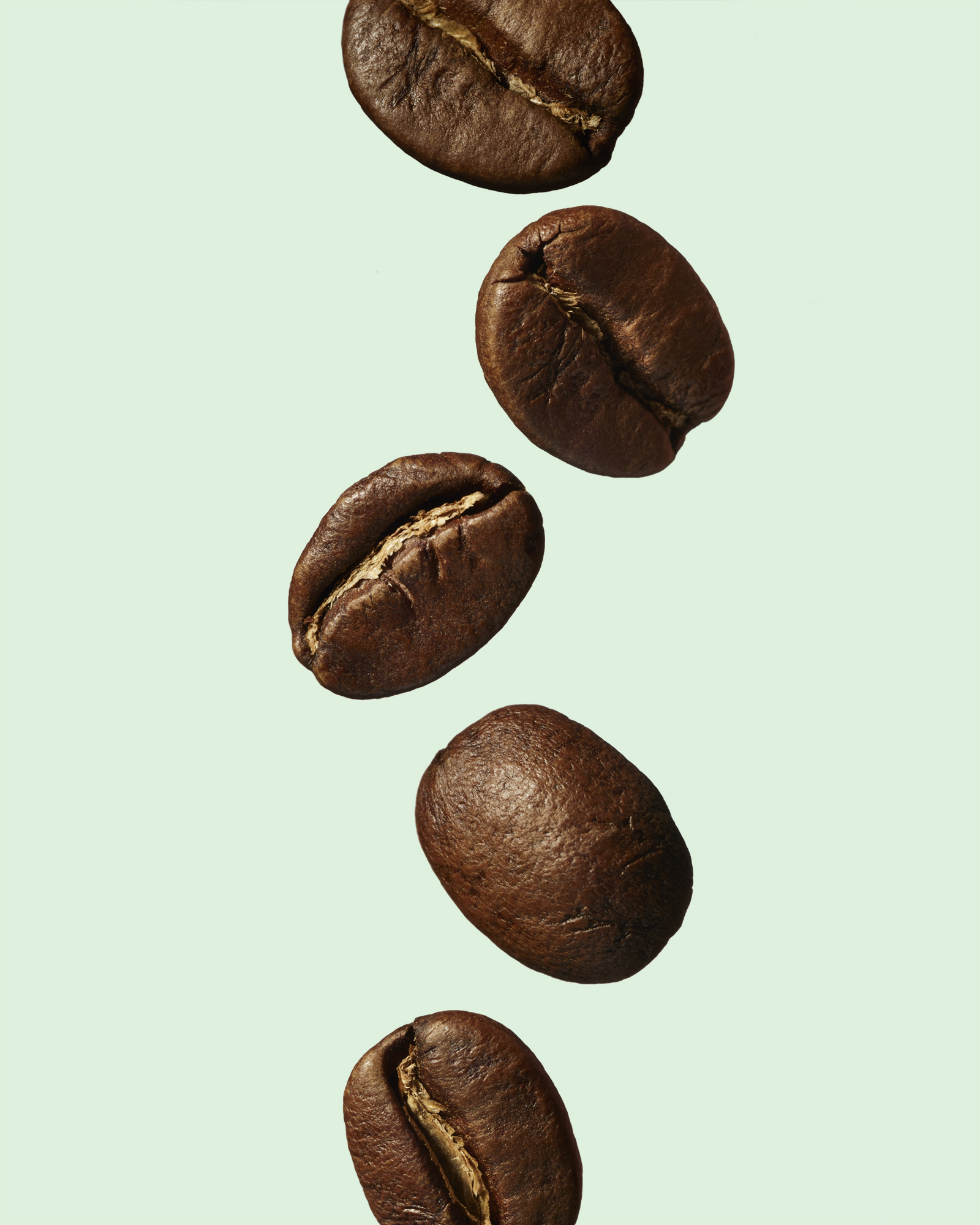 2019_Coffee_Beans.jpg