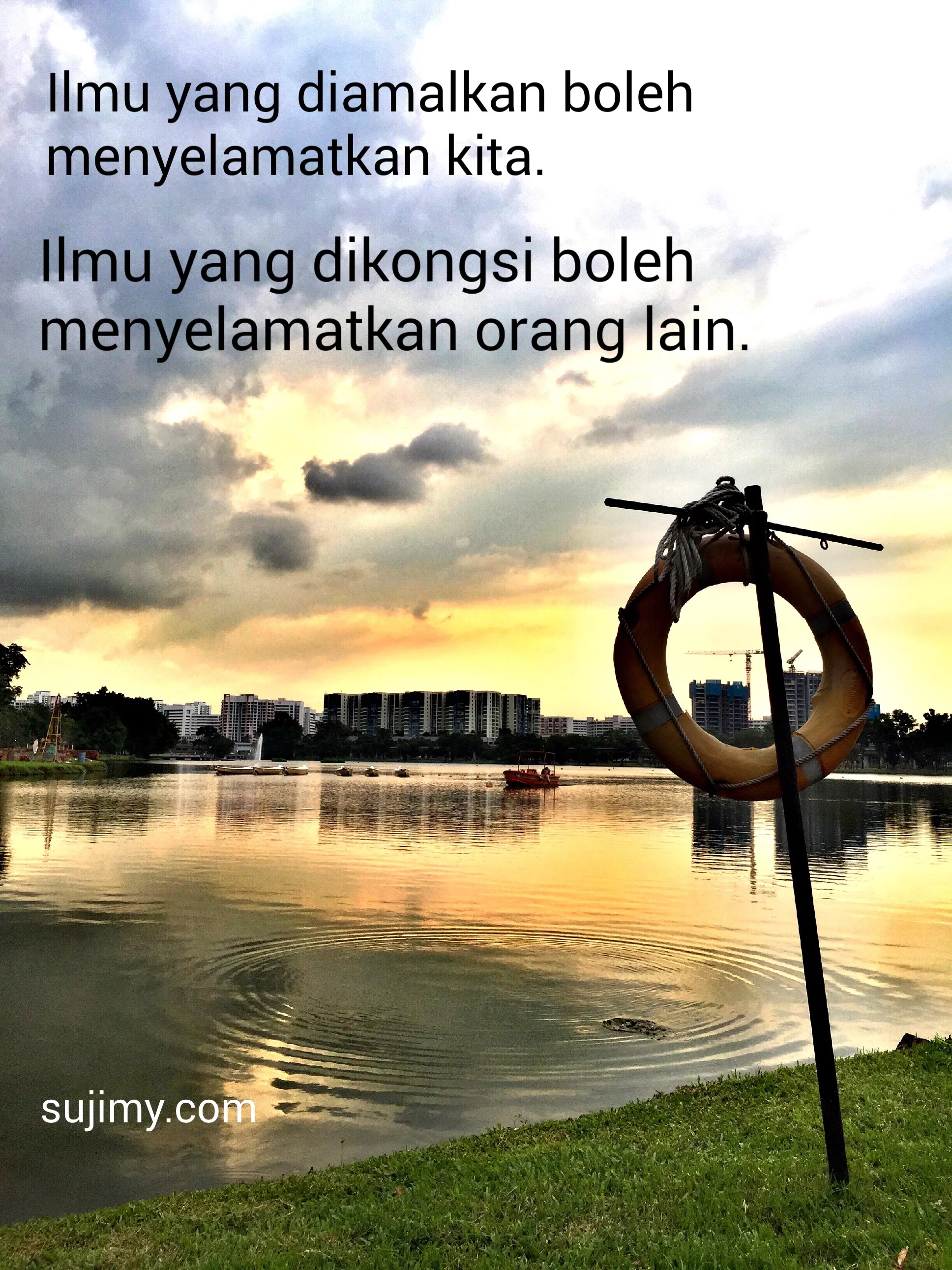Terfikir