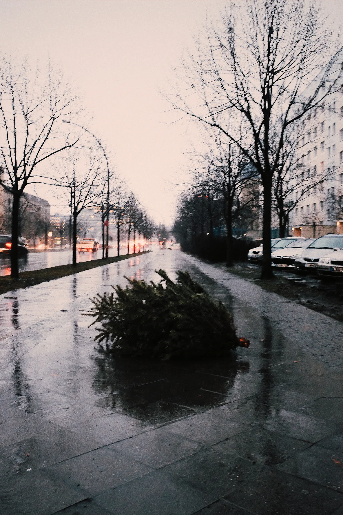 2015-01-09 05.00.53 1.jpg