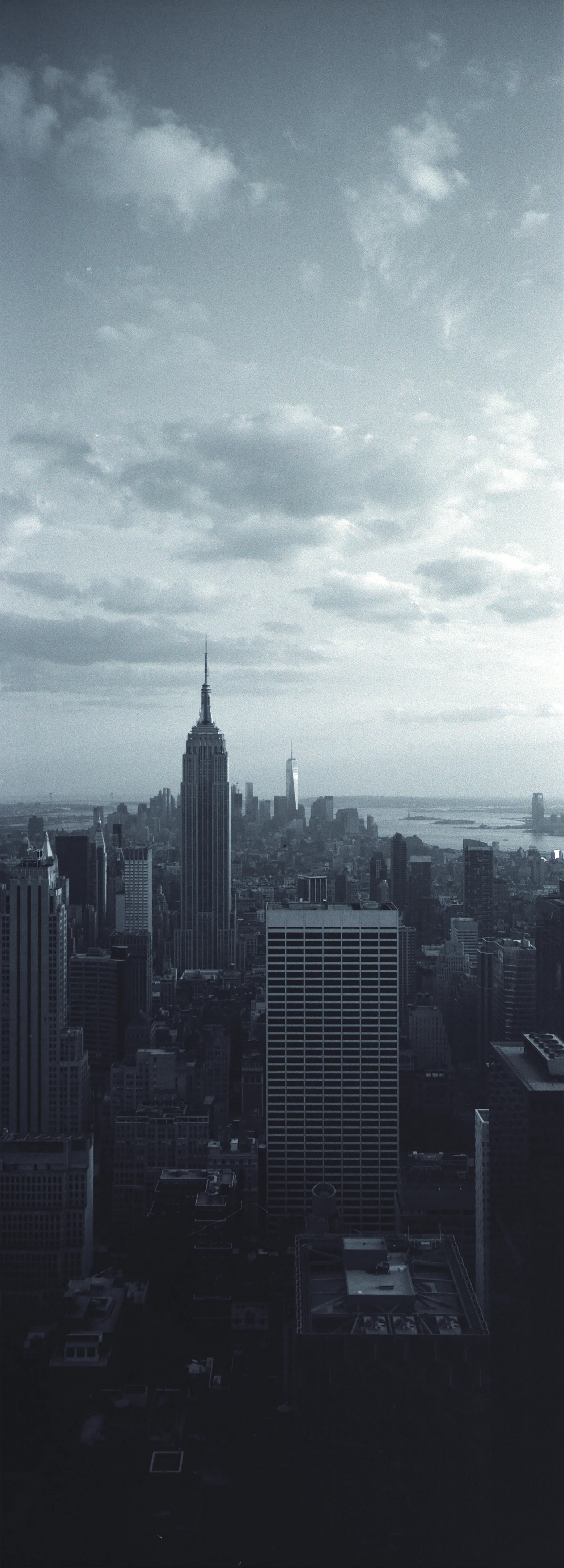 X-Pan_NY_Skyscraper_Portrait2.jpg