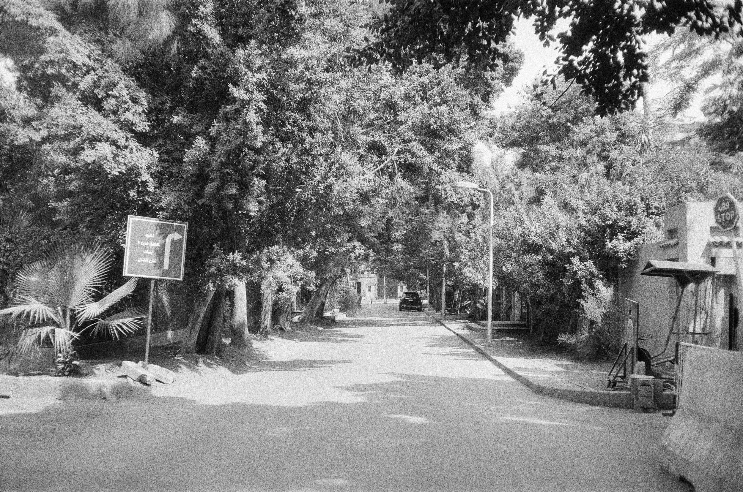 000016720015.jpg