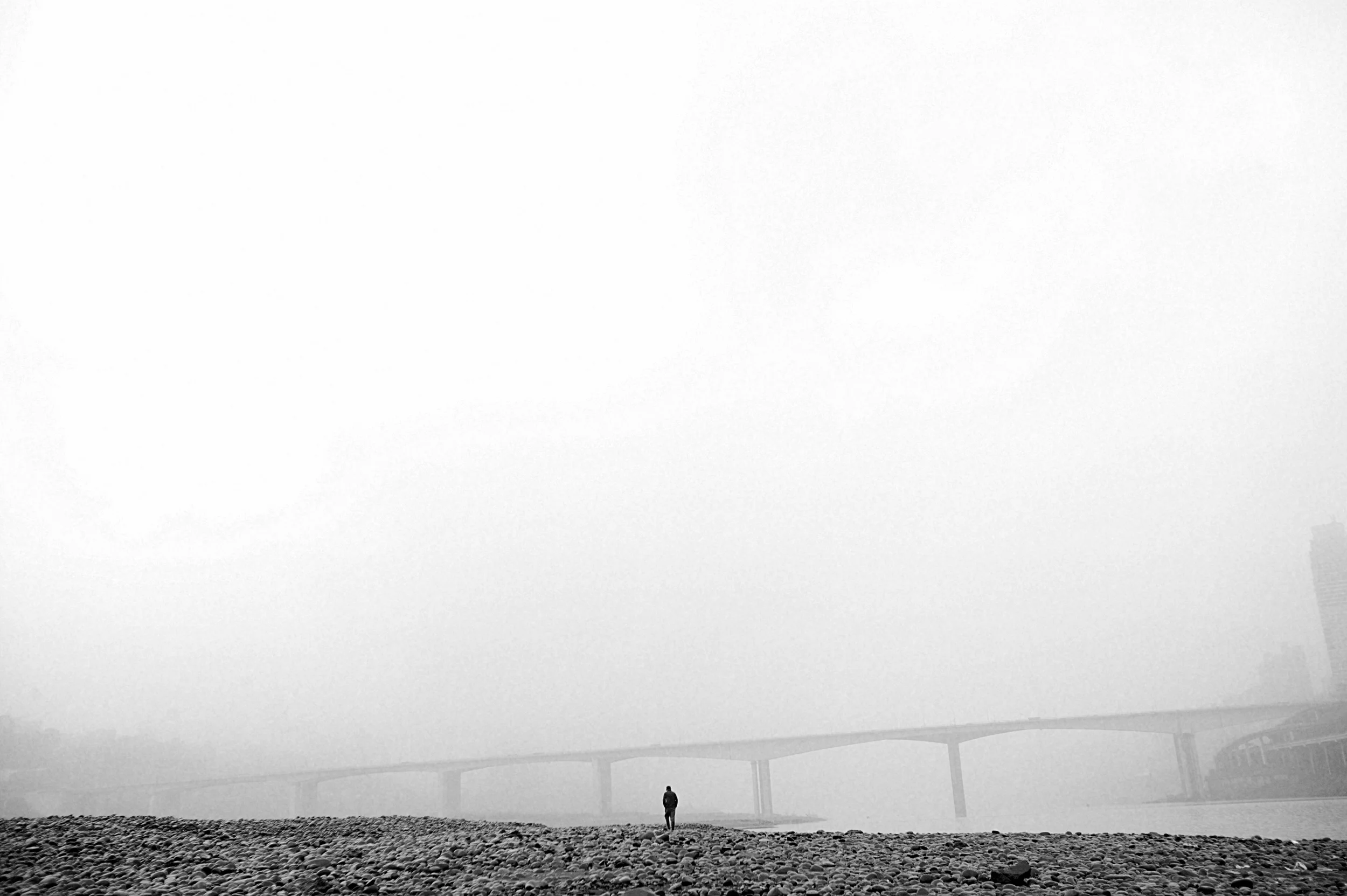 Among the Hidden_01.jpg