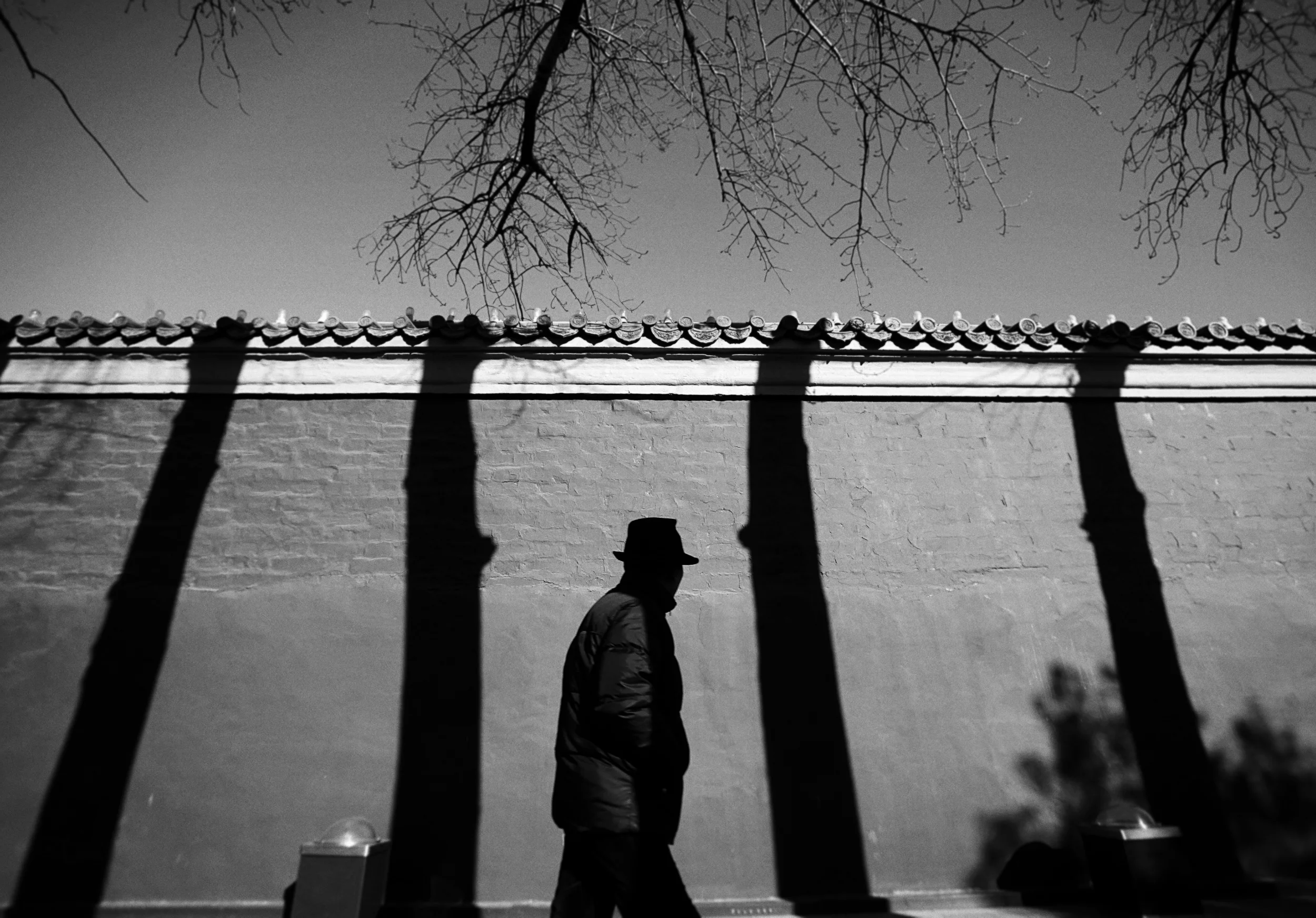 Among the Hidden_05.jpg