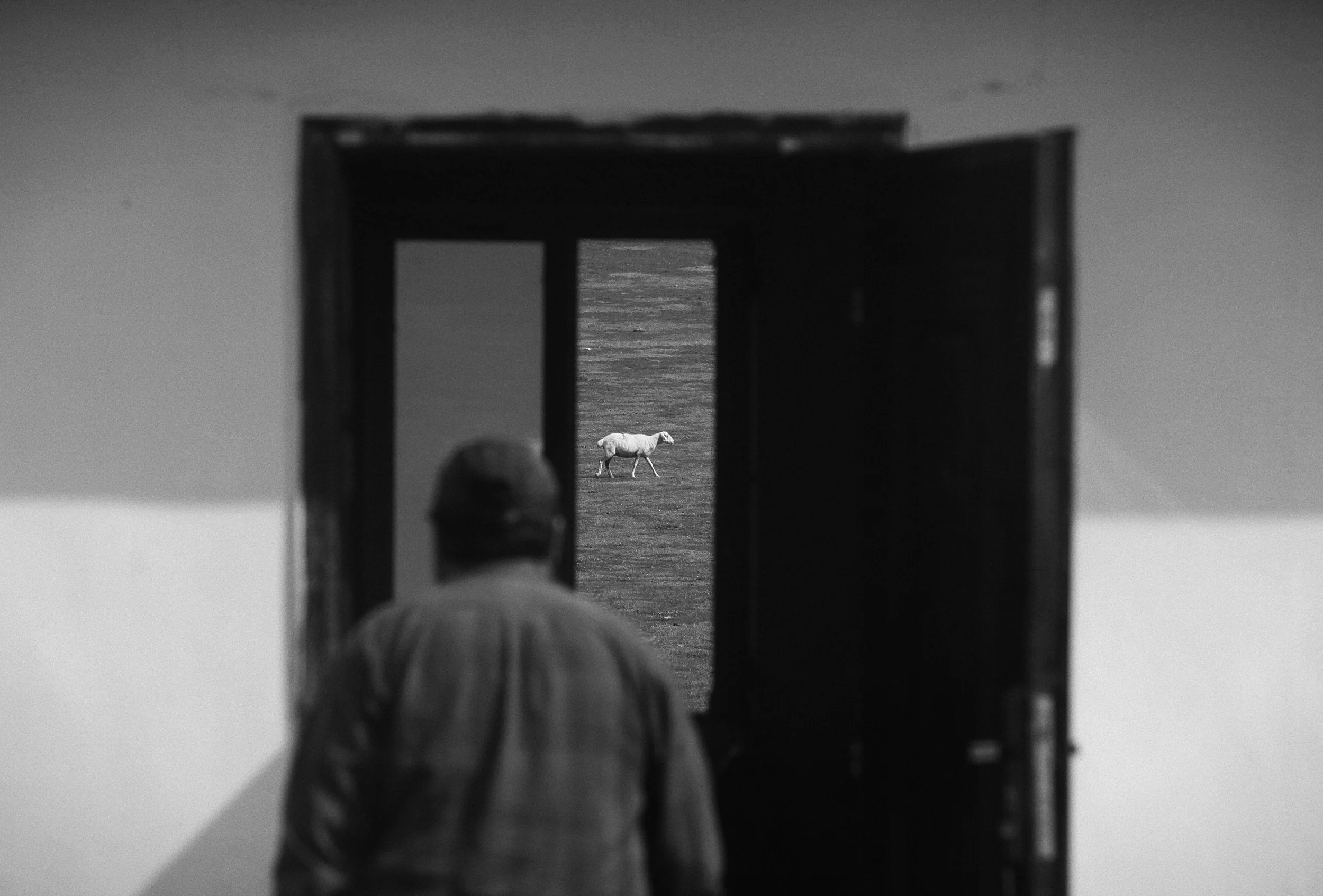 Among the Hidden_08.jpg