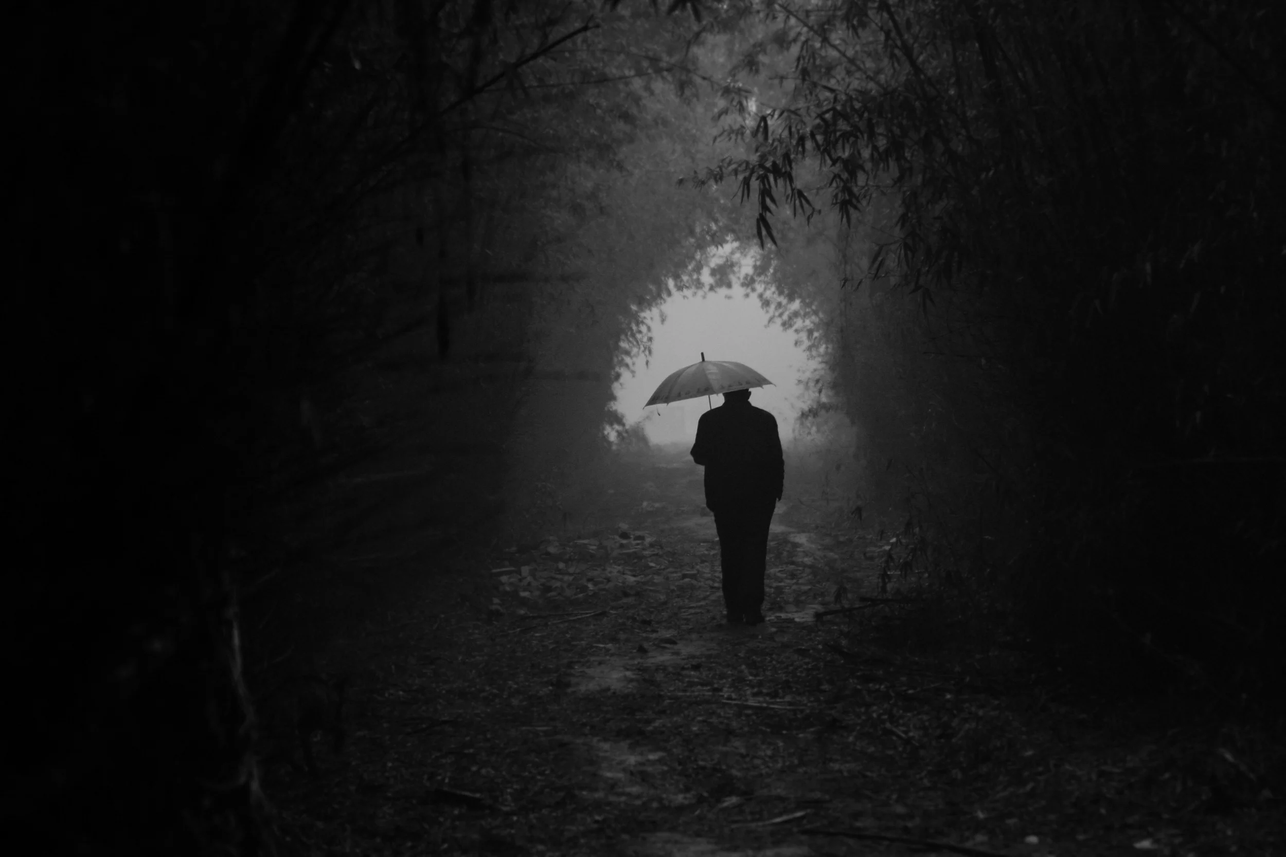Among the Hidden_10.jpg