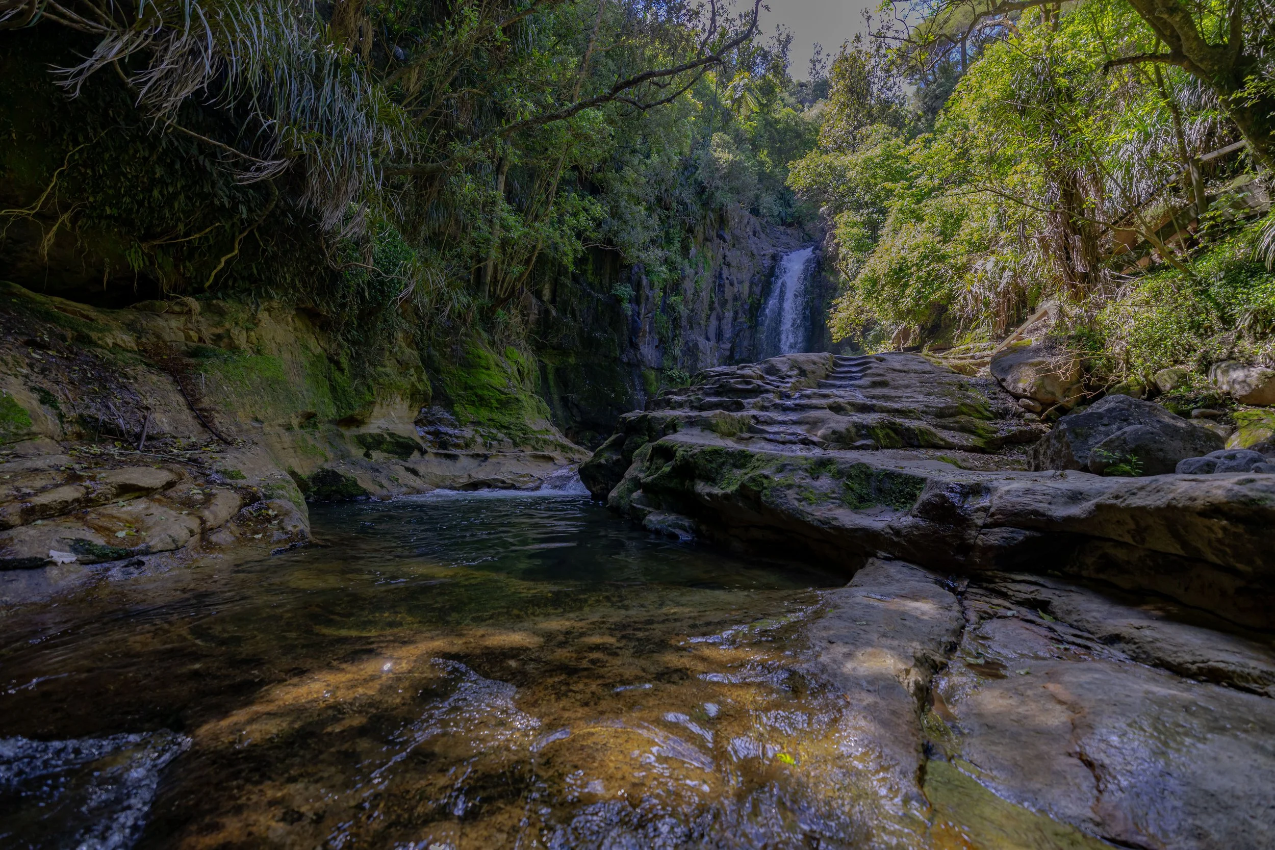 Capturing Love: Top 5 Engagement Photo Spots in the Bay of Plenty, New Zealand