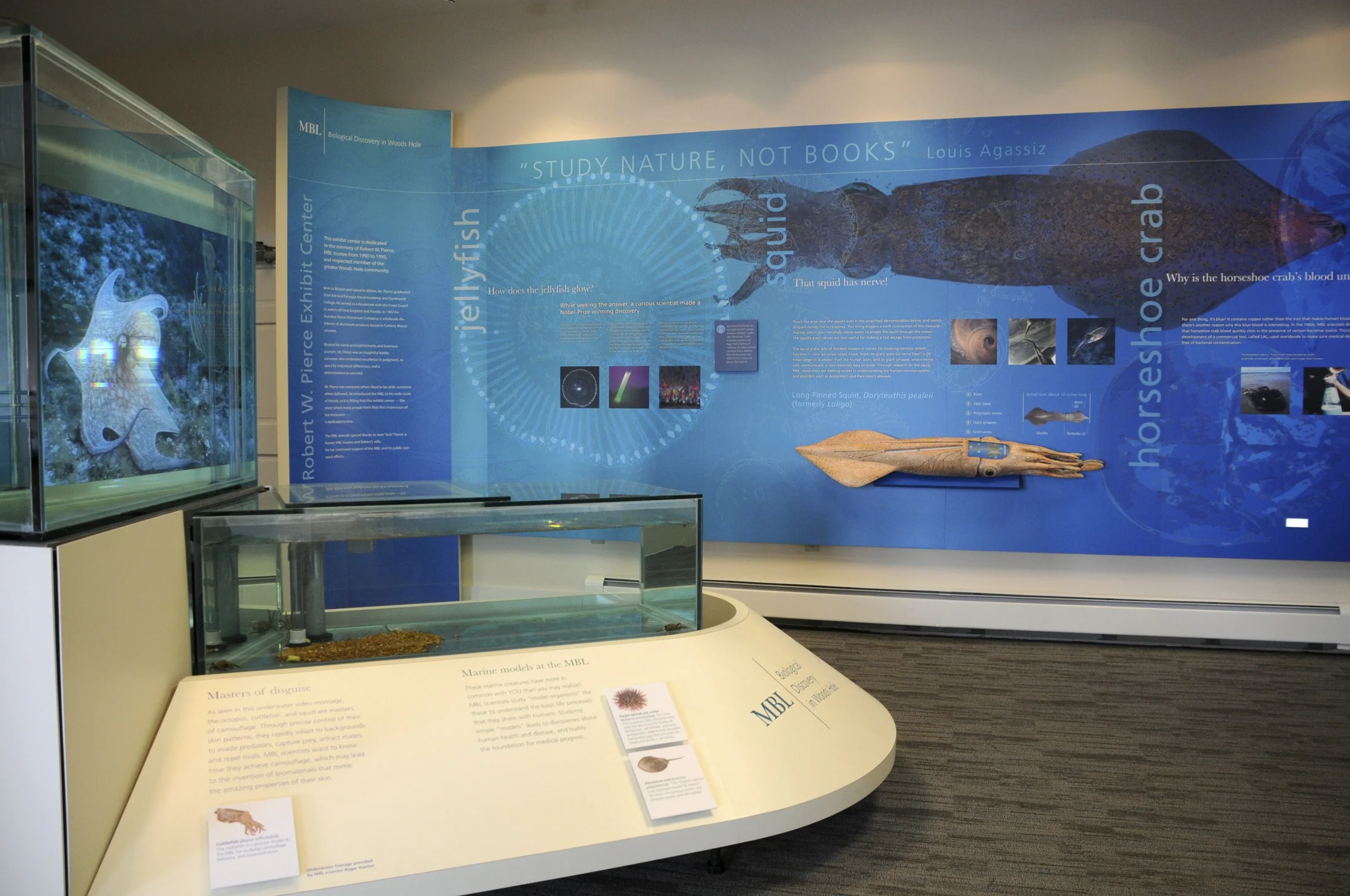 Project and production management for Marine Biological Laboratory exhibit, covering design and setup.