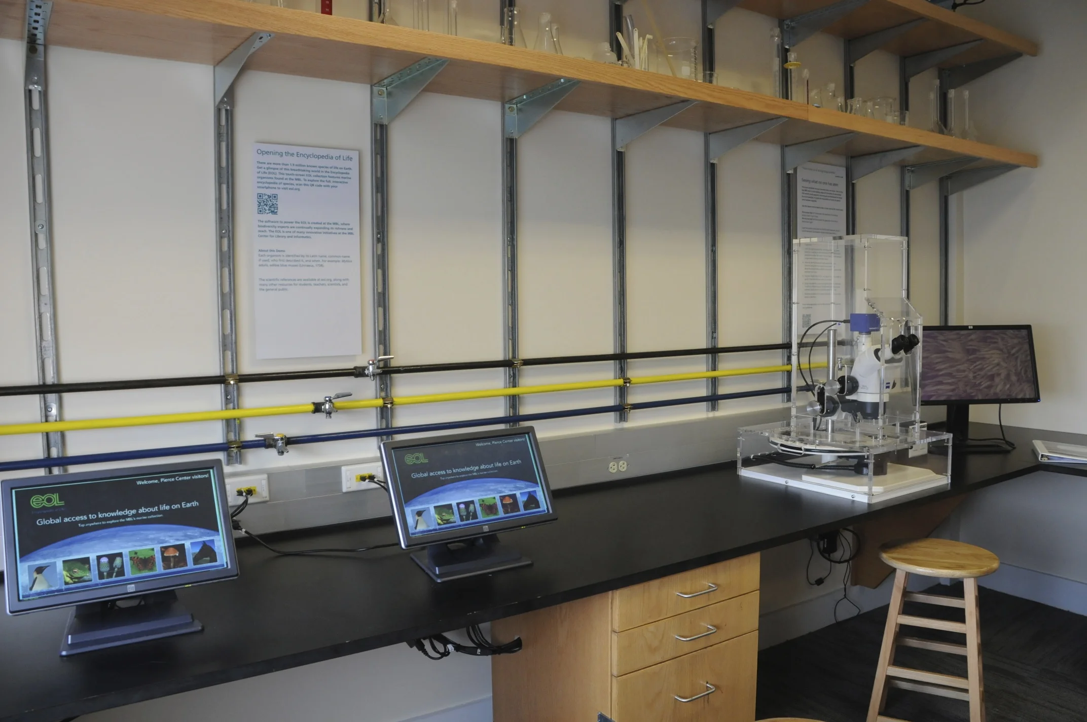 Project for the Marine Biological Laboratory, encompassing design, development, and execution.