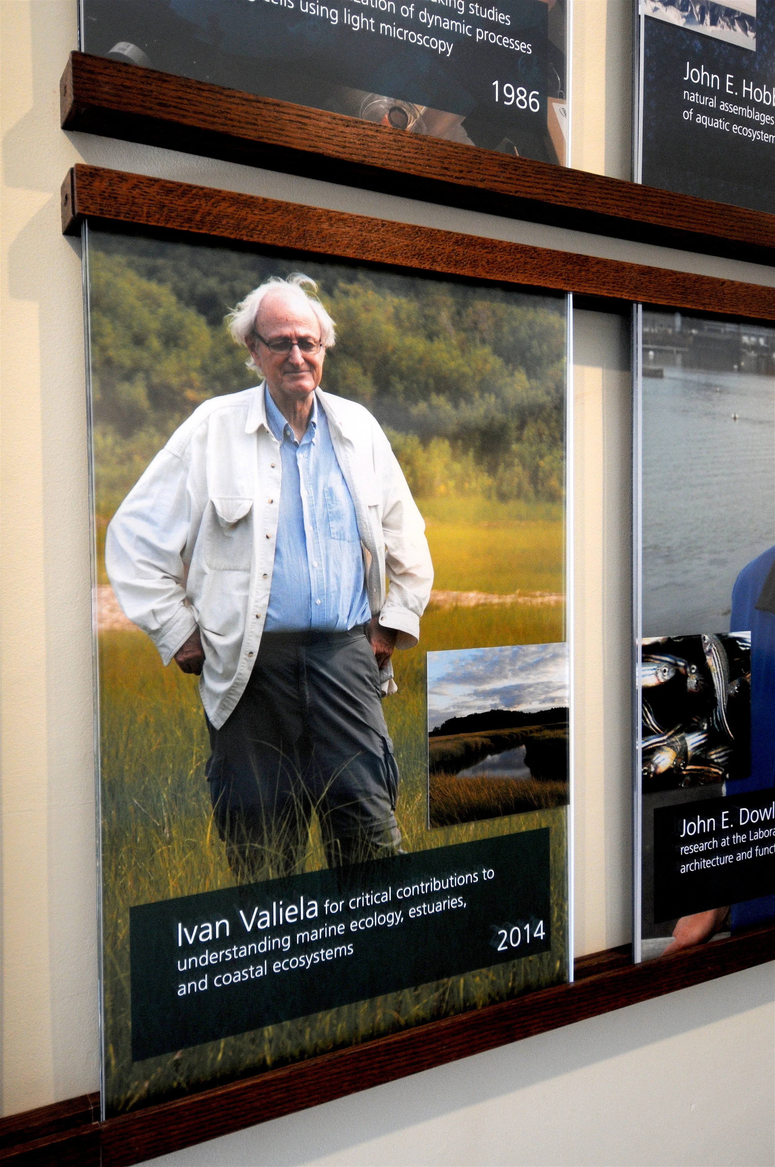Close-up of the MBL Distinguished Scientist display, highlighting individual achievements and contributions.