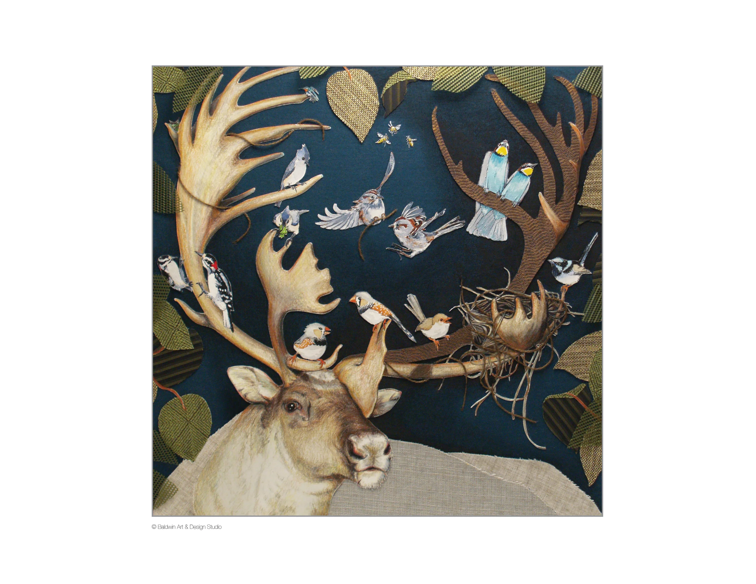 collage_portfolio .jpg