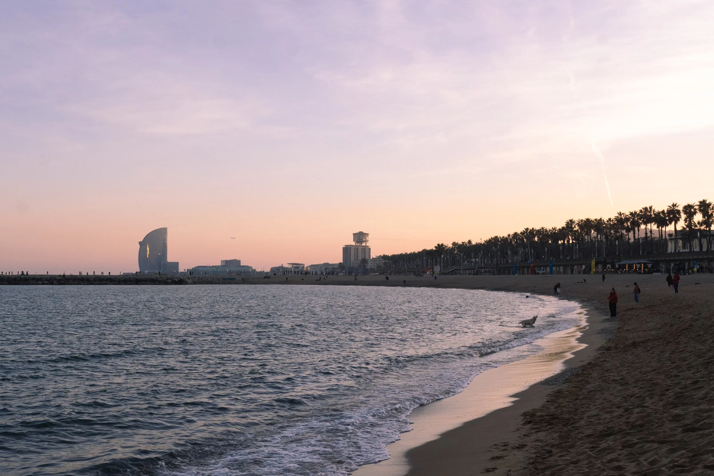 February 24, 2026-5.jpg