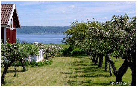 Svenska på Visingö - Swedish on Visingsö