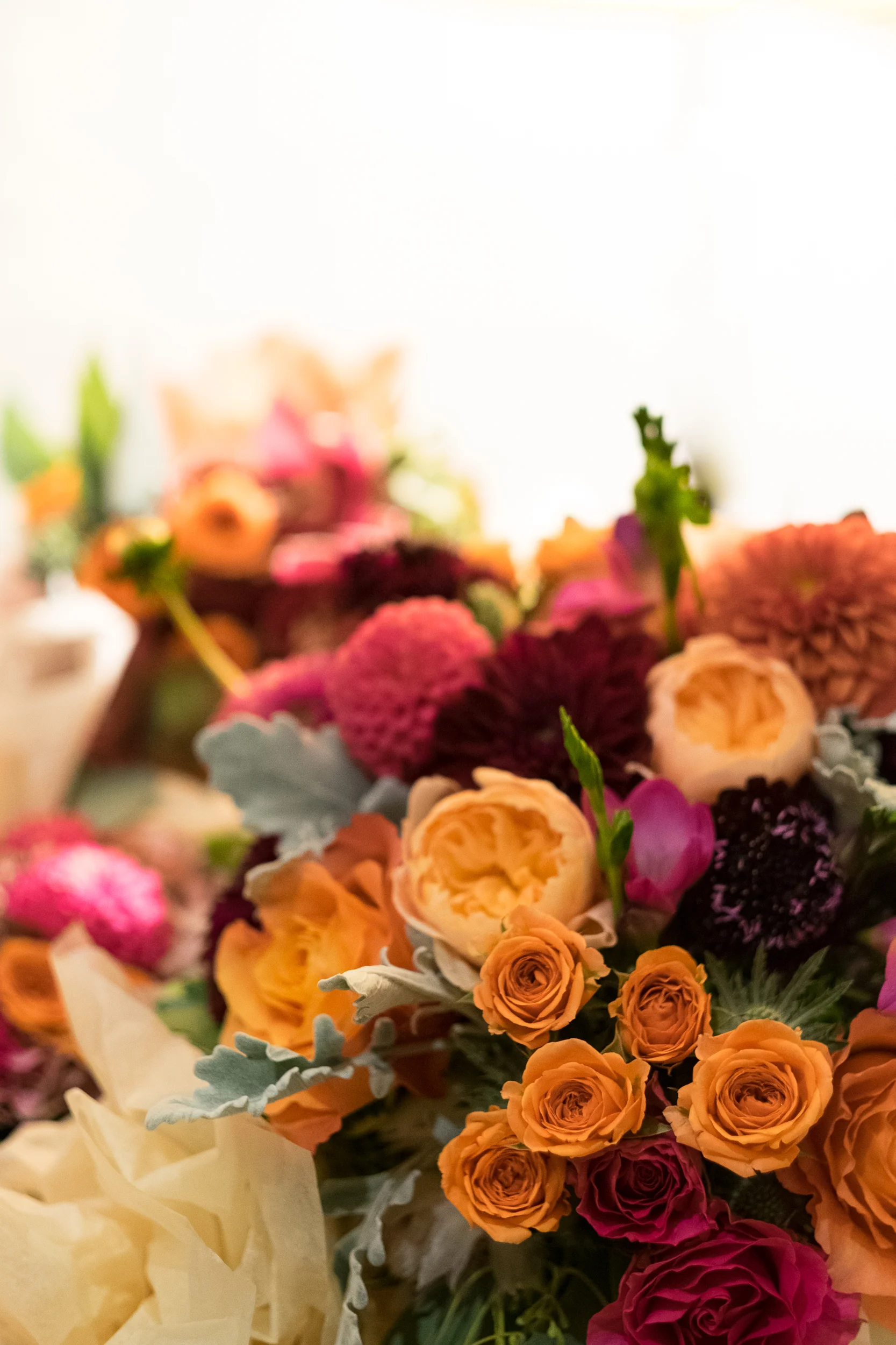 Snook-Campagna 04OCT2015-9.jpg