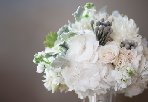 flower-close-up.jpg