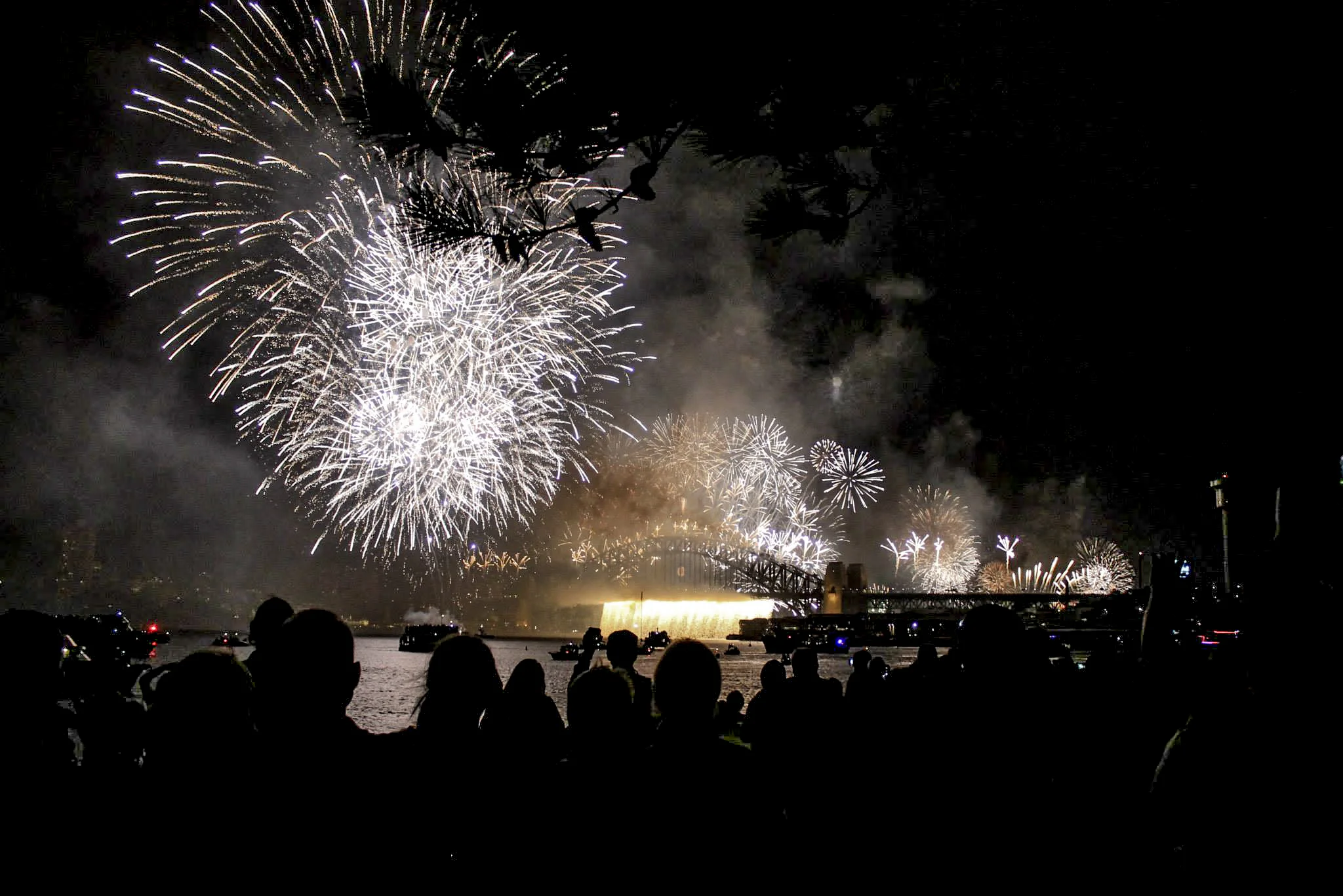  Sydney New Year Fireworks / Jan 2014 