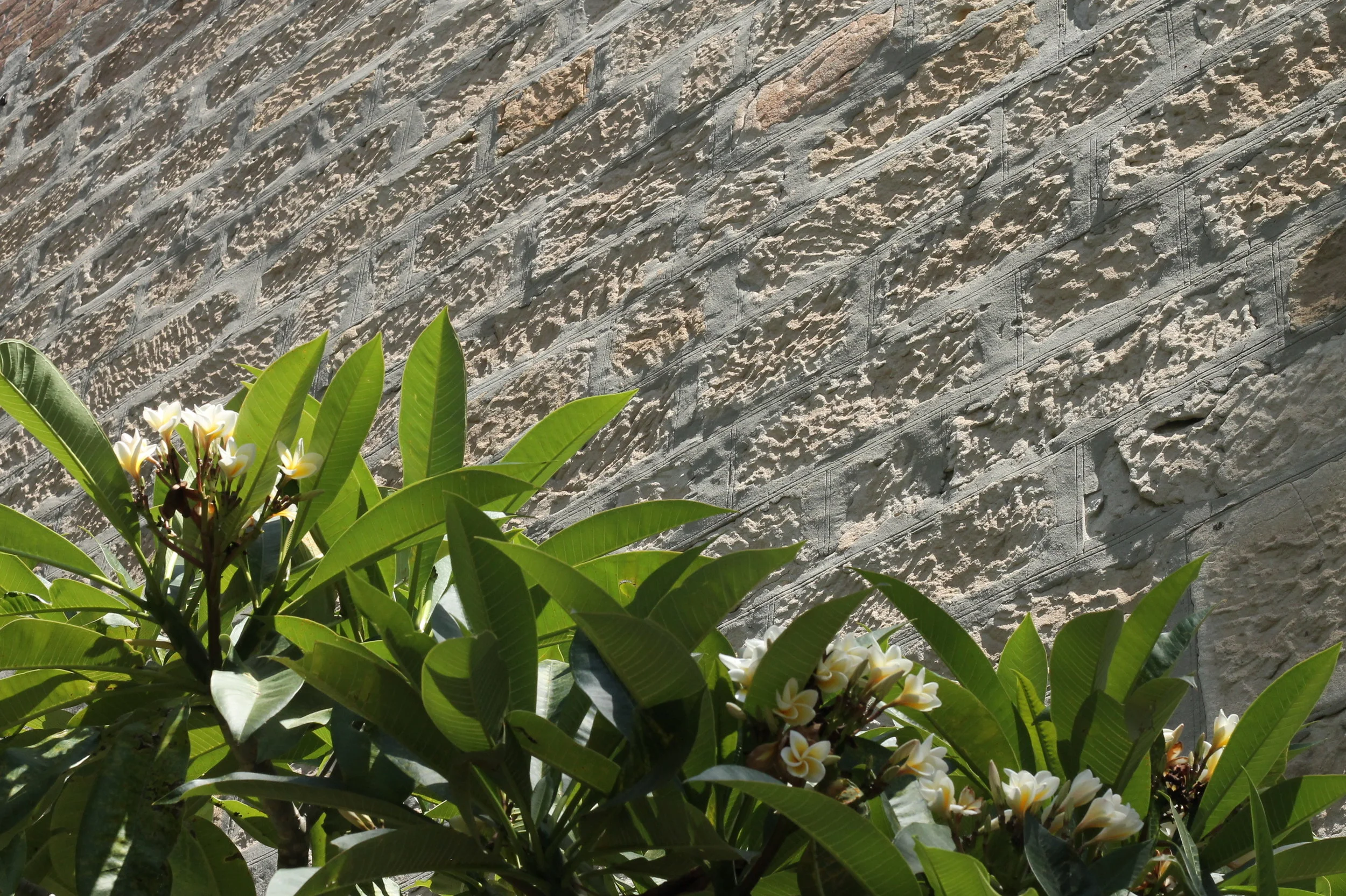  Potts Point / Jan 2019 