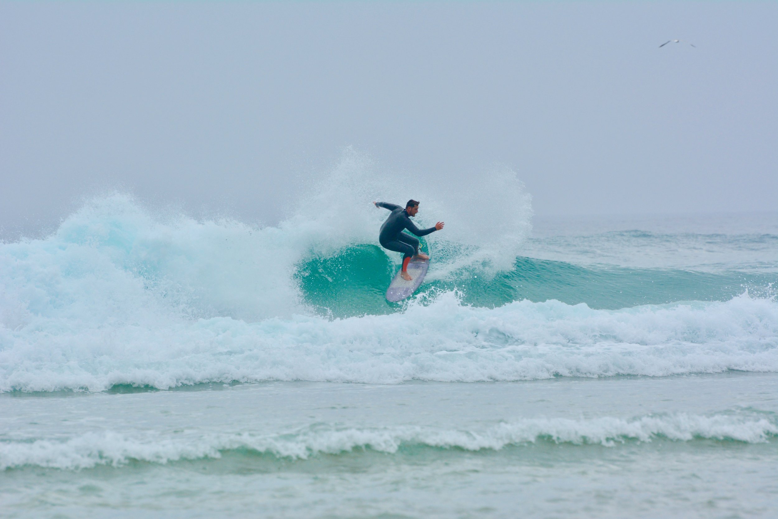 DSC_5276.jpeg