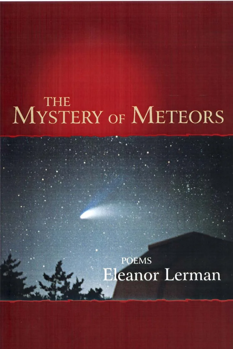 Lerman.Meteors.jpg