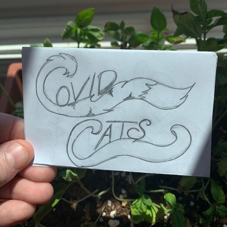 "Covid Cats" by Olivia