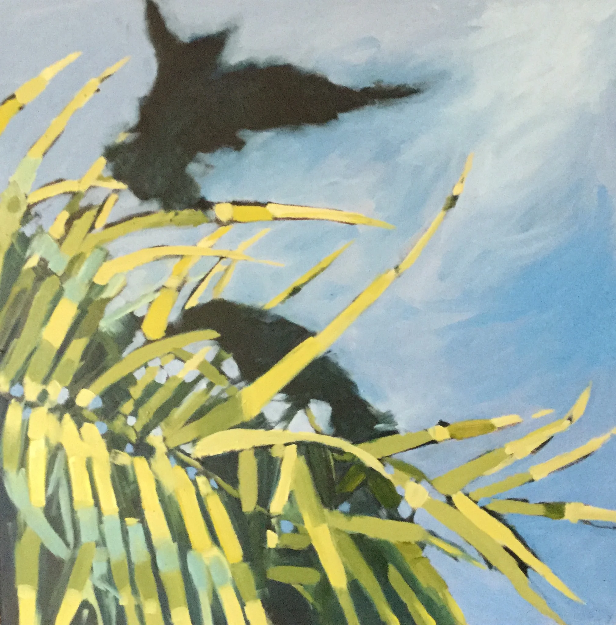 Two Birds in the Palm