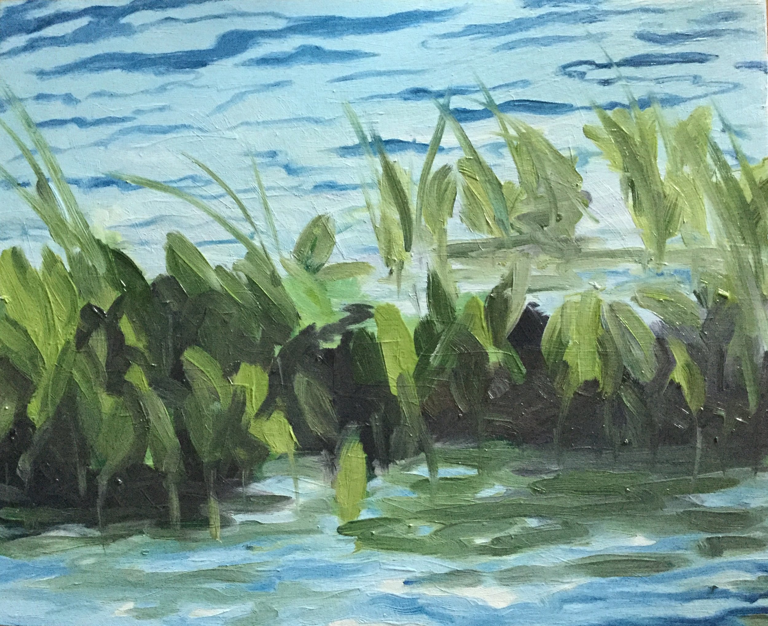 Lochloosa Lake